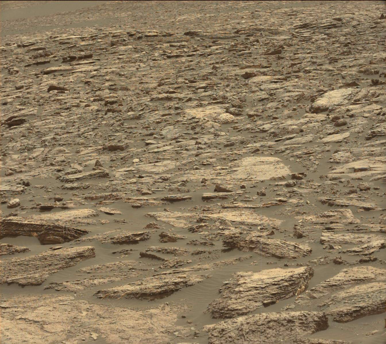 Nasa's Mars rover Curiosity acquired this image using its Mast Camera (Mastcam) on Sol 1503