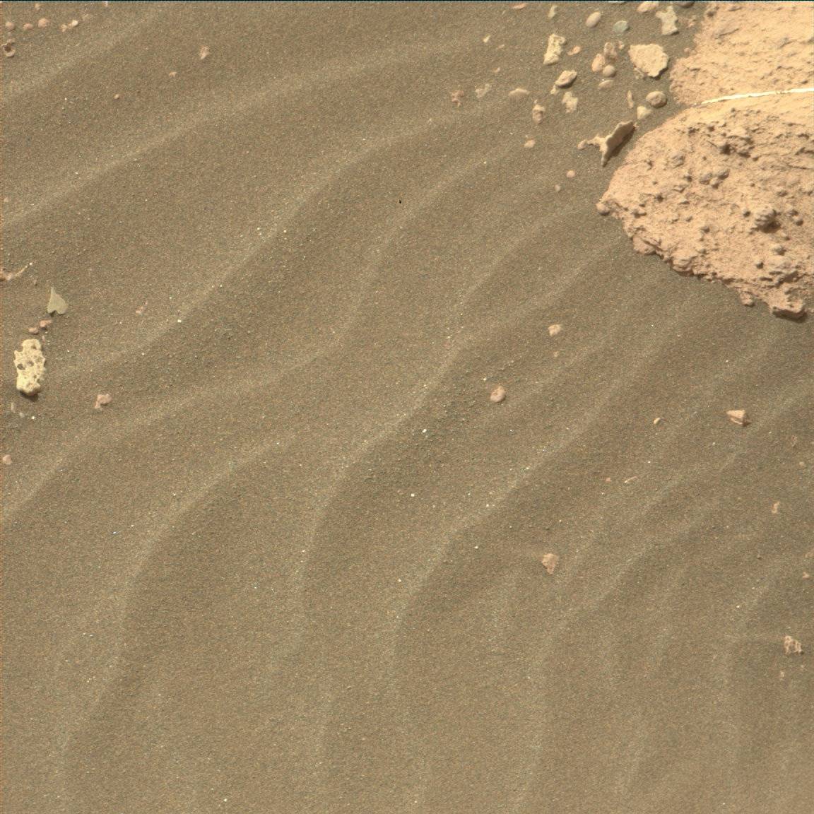 Nasa's Mars rover Curiosity acquired this image using its Mast Camera (Mastcam) on Sol 1503