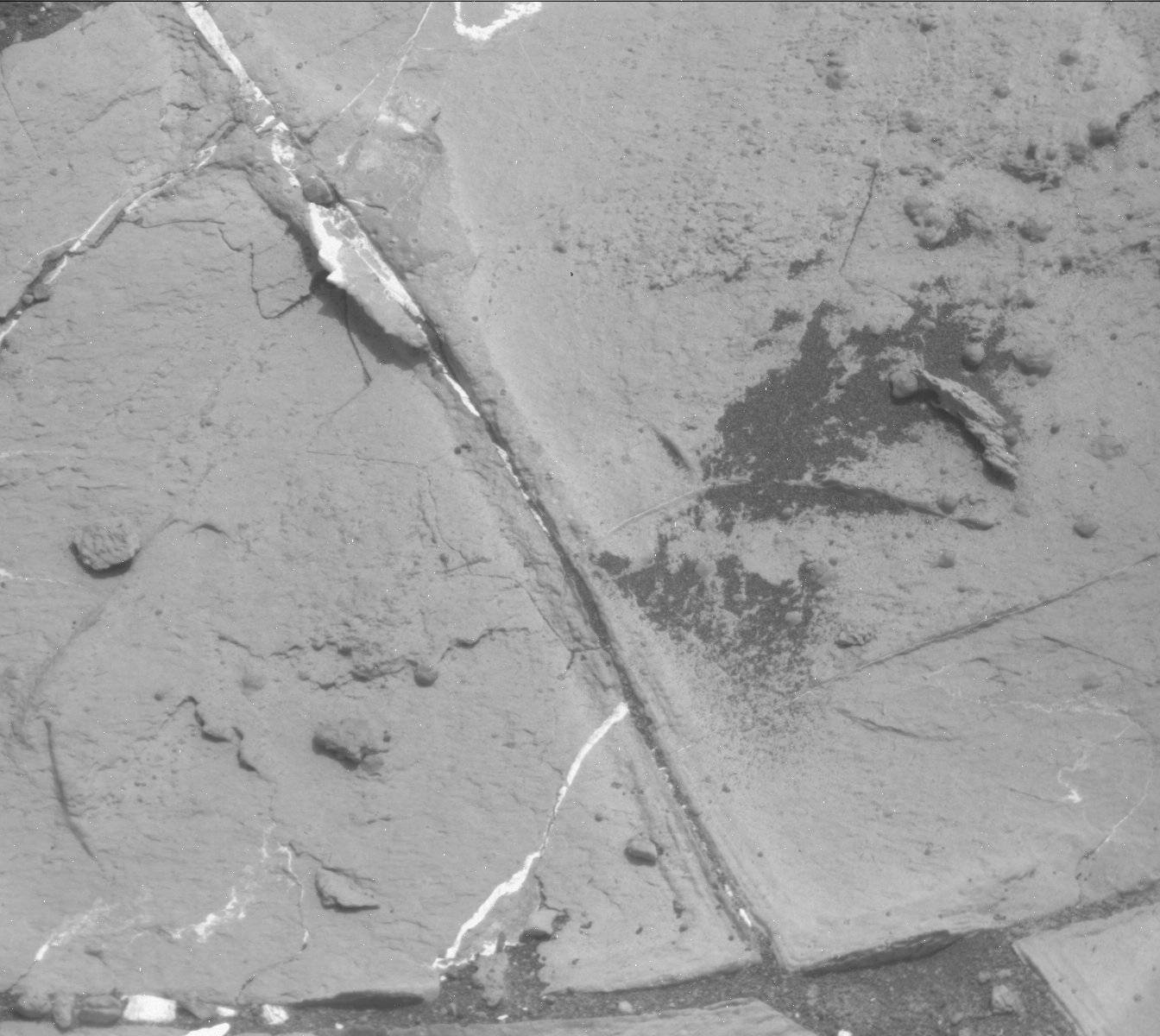 Nasa's Mars rover Curiosity acquired this image using its Mast Camera (Mastcam) on Sol 1505
