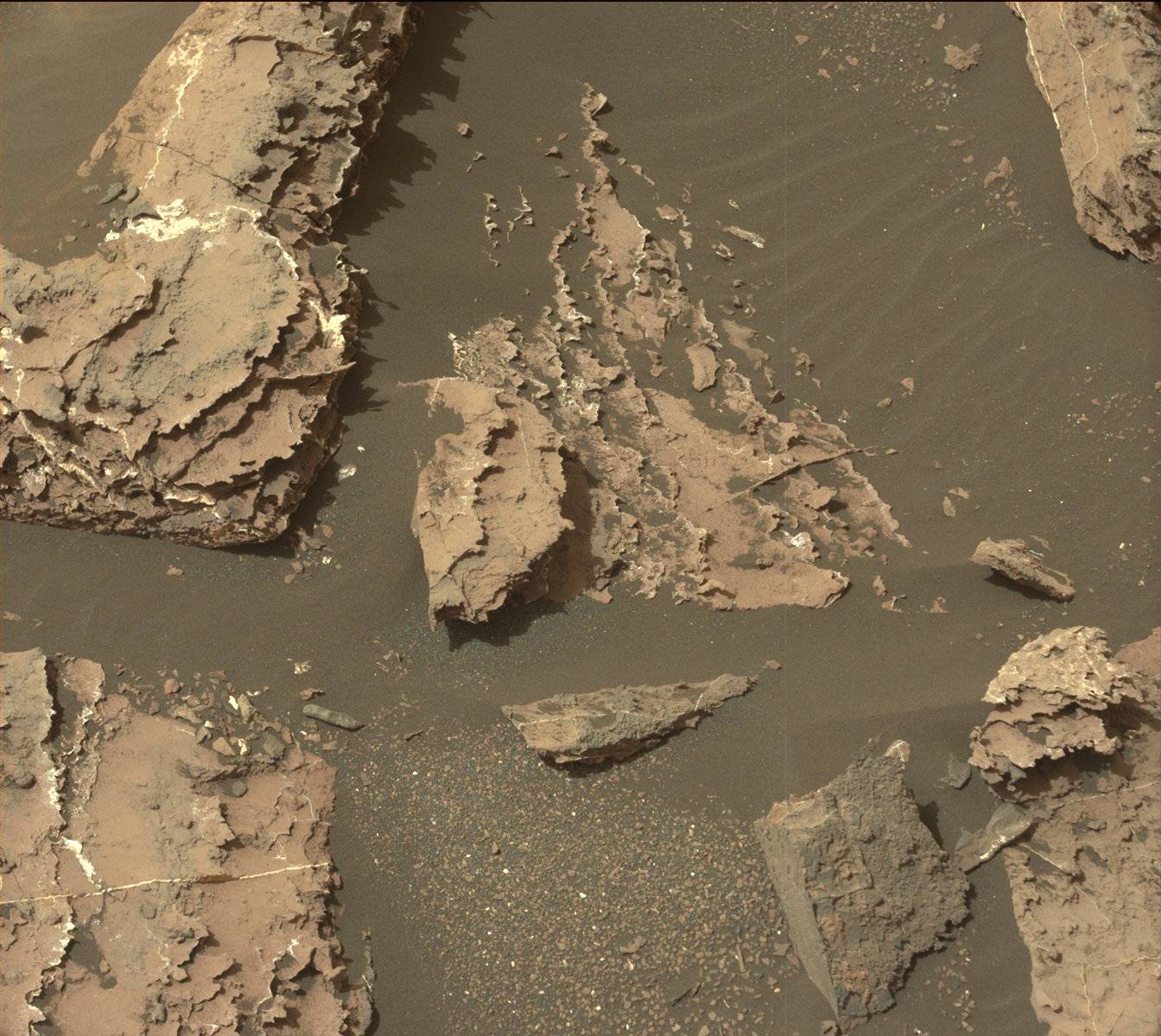 Nasa's Mars rover Curiosity acquired this image using its Mast Camera (Mastcam) on Sol 1507