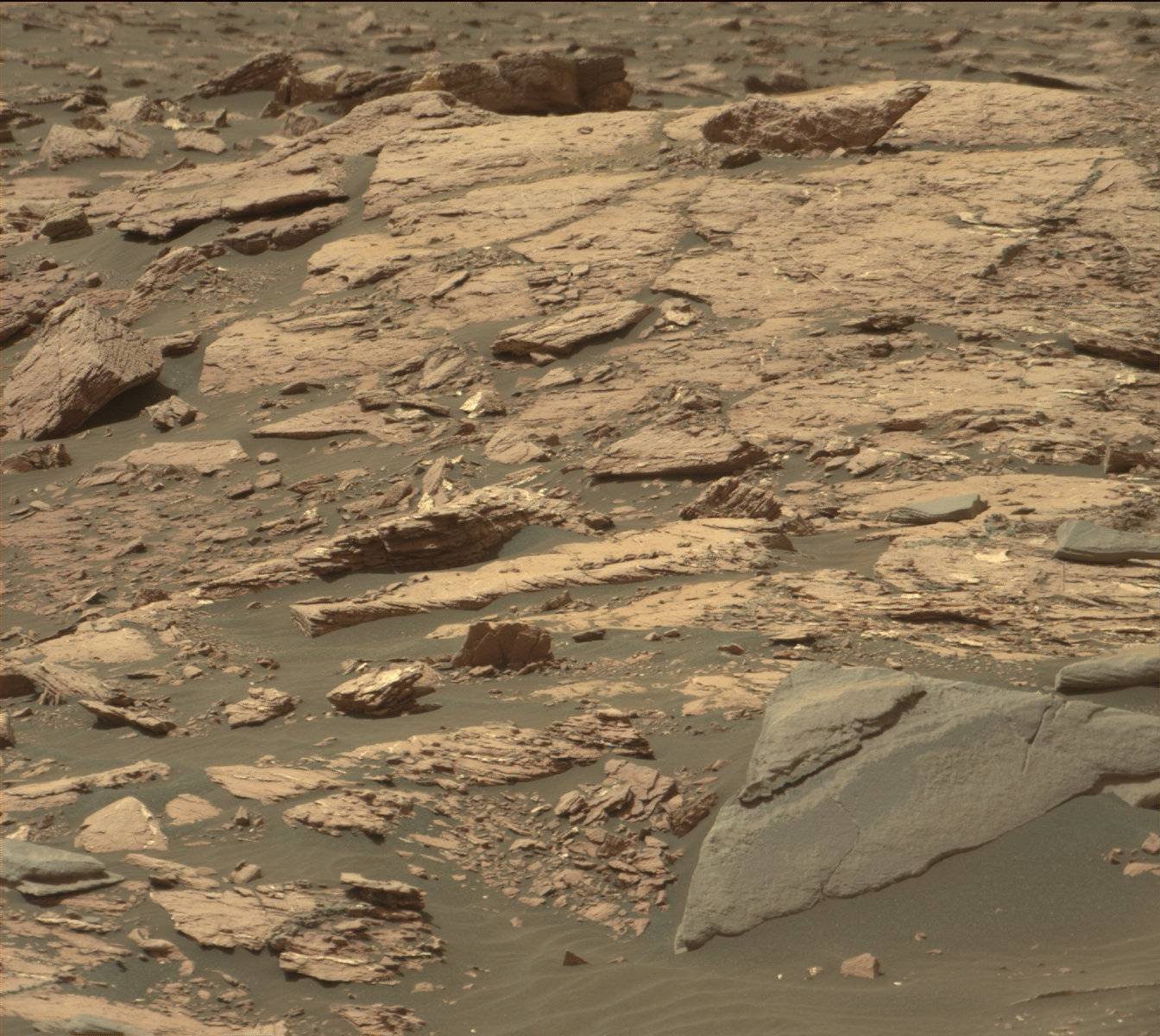 Nasa's Mars rover Curiosity acquired this image using its Mast Camera (Mastcam) on Sol 1509