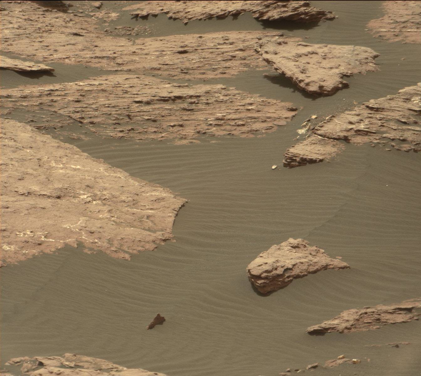 Nasa's Mars rover Curiosity acquired this image using its Mast Camera (Mastcam) on Sol 1511