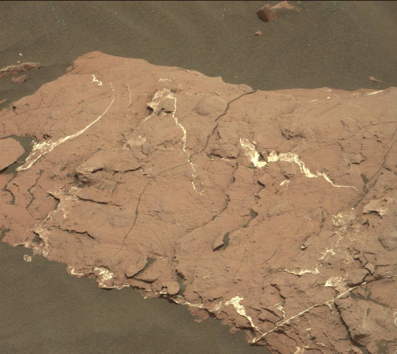 Nasa's Mars rover Curiosity acquired this image using its Mast Camera (Mastcam) on Sol 1516