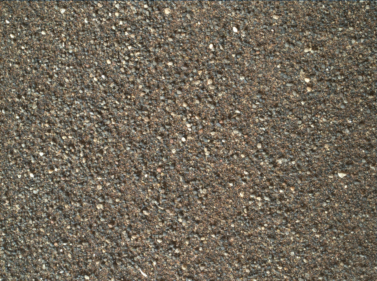 Nasa's Mars rover Curiosity acquired this image using its Mars Hand Lens Imager (MAHLI) on Sol 1518
