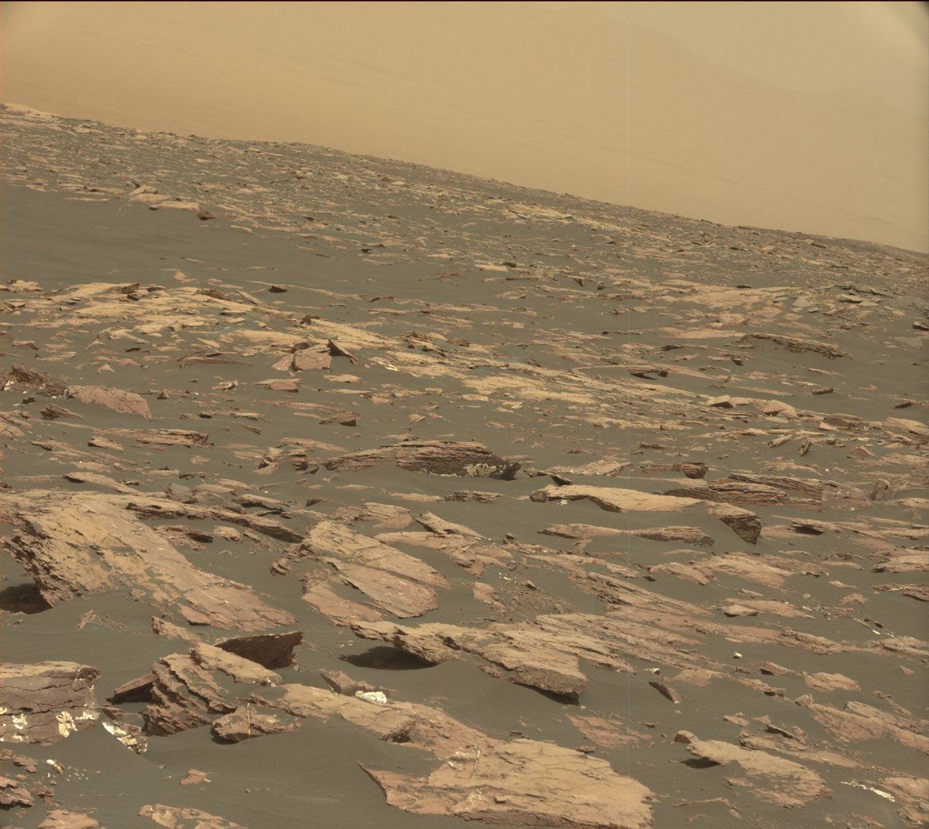 Nasa's Mars rover Curiosity acquired this image using its Mast Camera (Mastcam) on Sol 1519