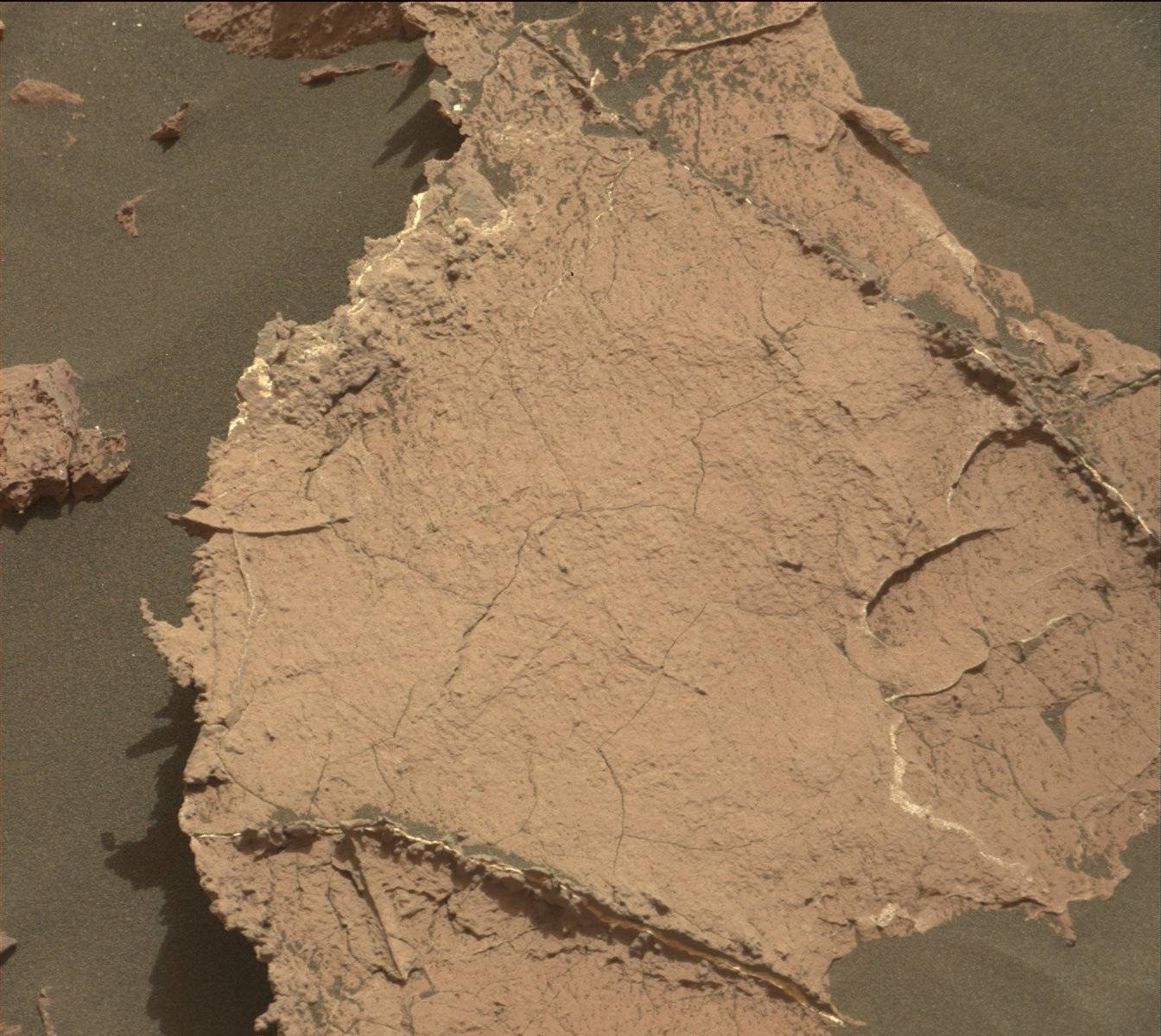 Nasa's Mars rover Curiosity acquired this image using its Mast Camera (Mastcam) on Sol 1521