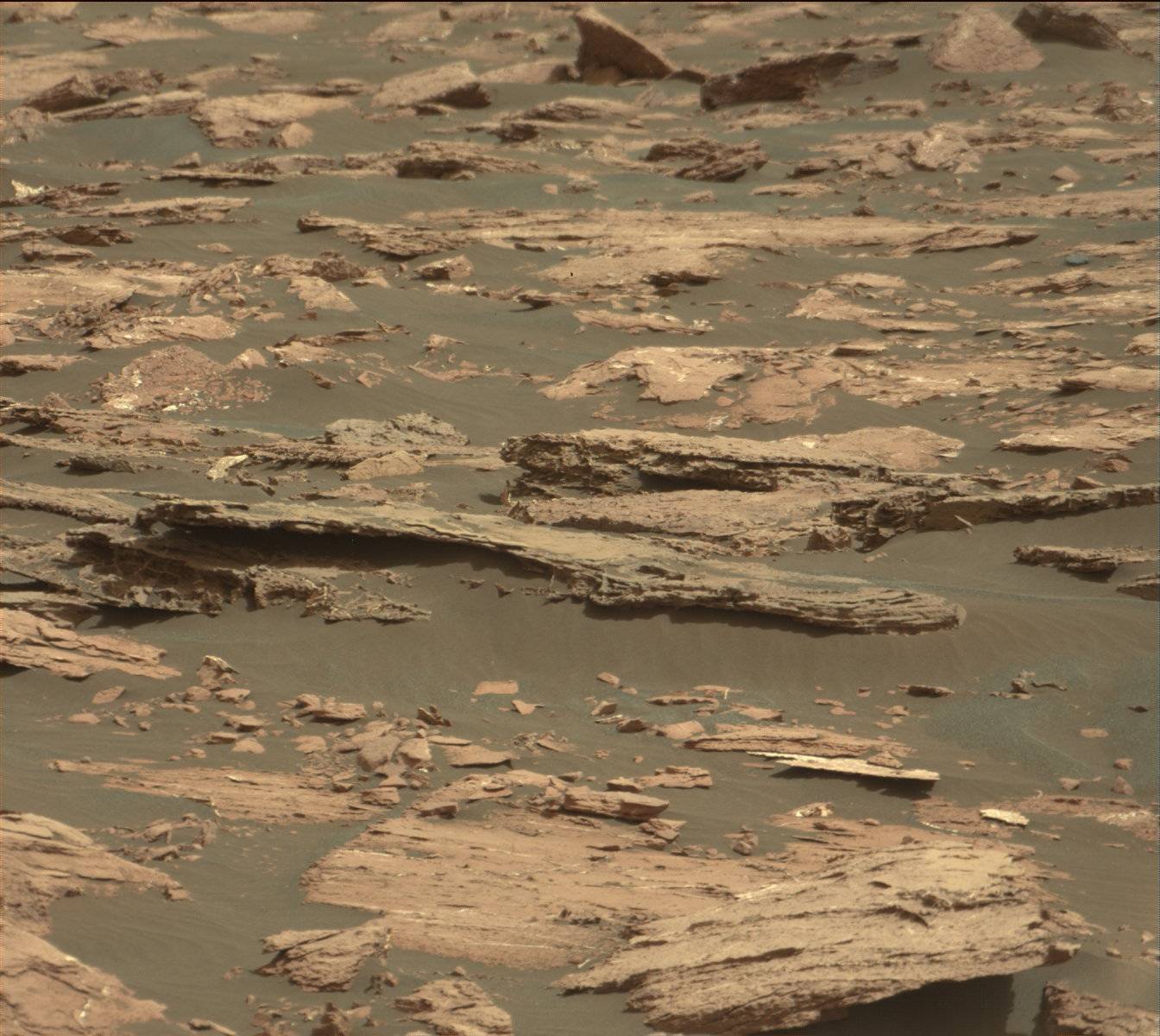 Nasa's Mars rover Curiosity acquired this image using its Mast Camera (Mastcam) on Sol 1521