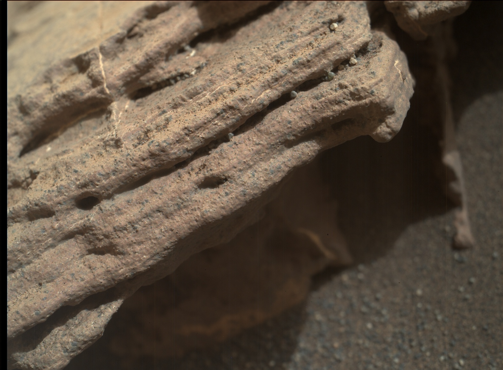 Nasa's Mars rover Curiosity acquired this image using its Mars Hand Lens Imager (MAHLI) on Sol 1523