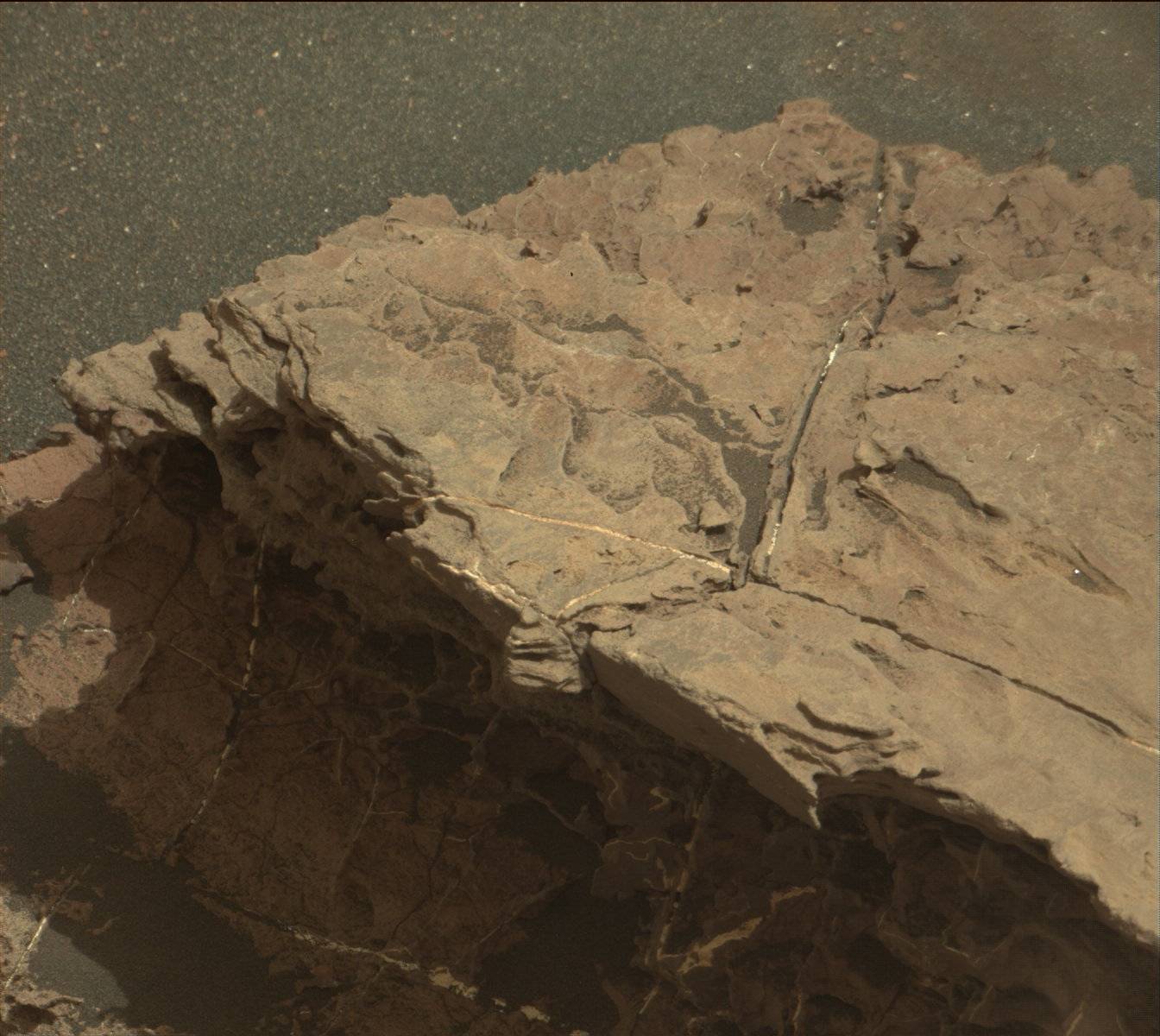 Nasa's Mars rover Curiosity acquired this image using its Mast Camera (Mastcam) on Sol 1524