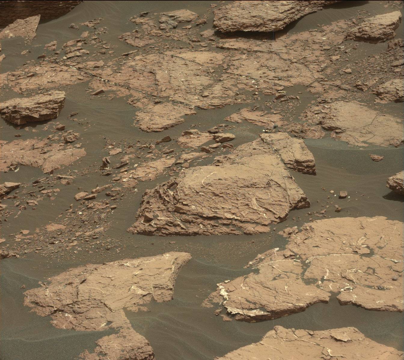 Nasa's Mars rover Curiosity acquired this image using its Mast Camera (Mastcam) on Sol 1526