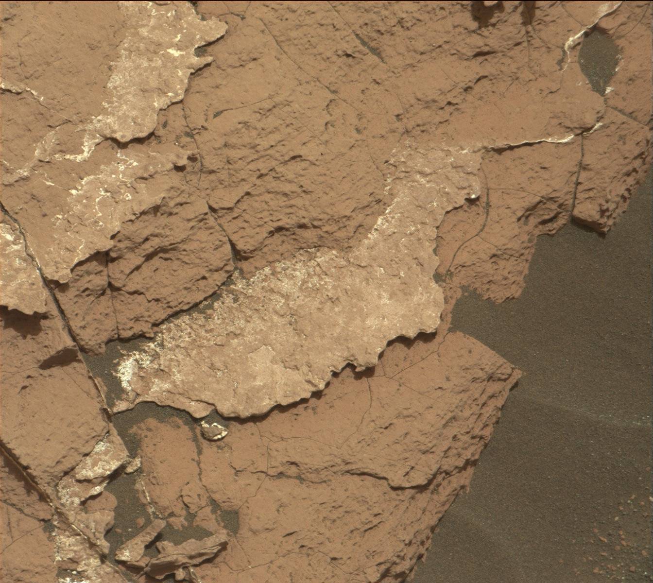 Nasa's Mars rover Curiosity acquired this image using its Mast Camera (Mastcam) on Sol 1529
