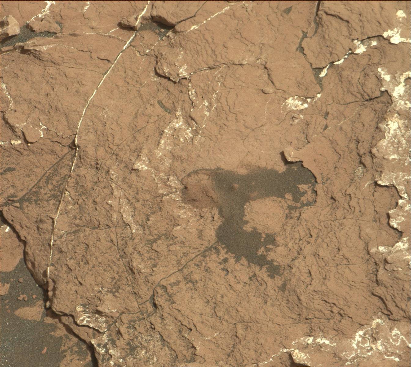 Nasa's Mars rover Curiosity acquired this image using its Mast Camera (Mastcam) on Sol 1534