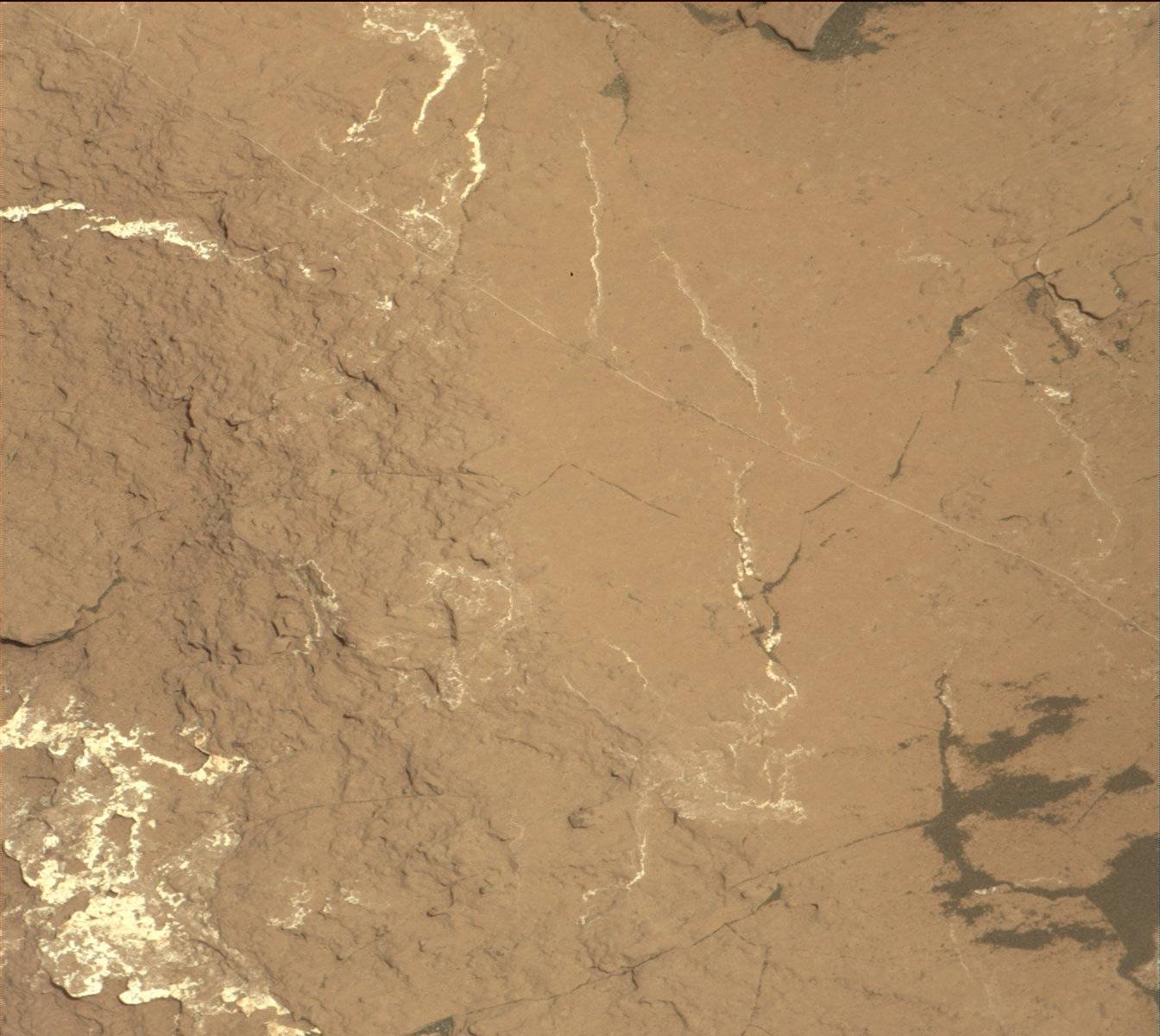 Nasa's Mars rover Curiosity acquired this image using its Mast Camera (Mastcam) on Sol 1536