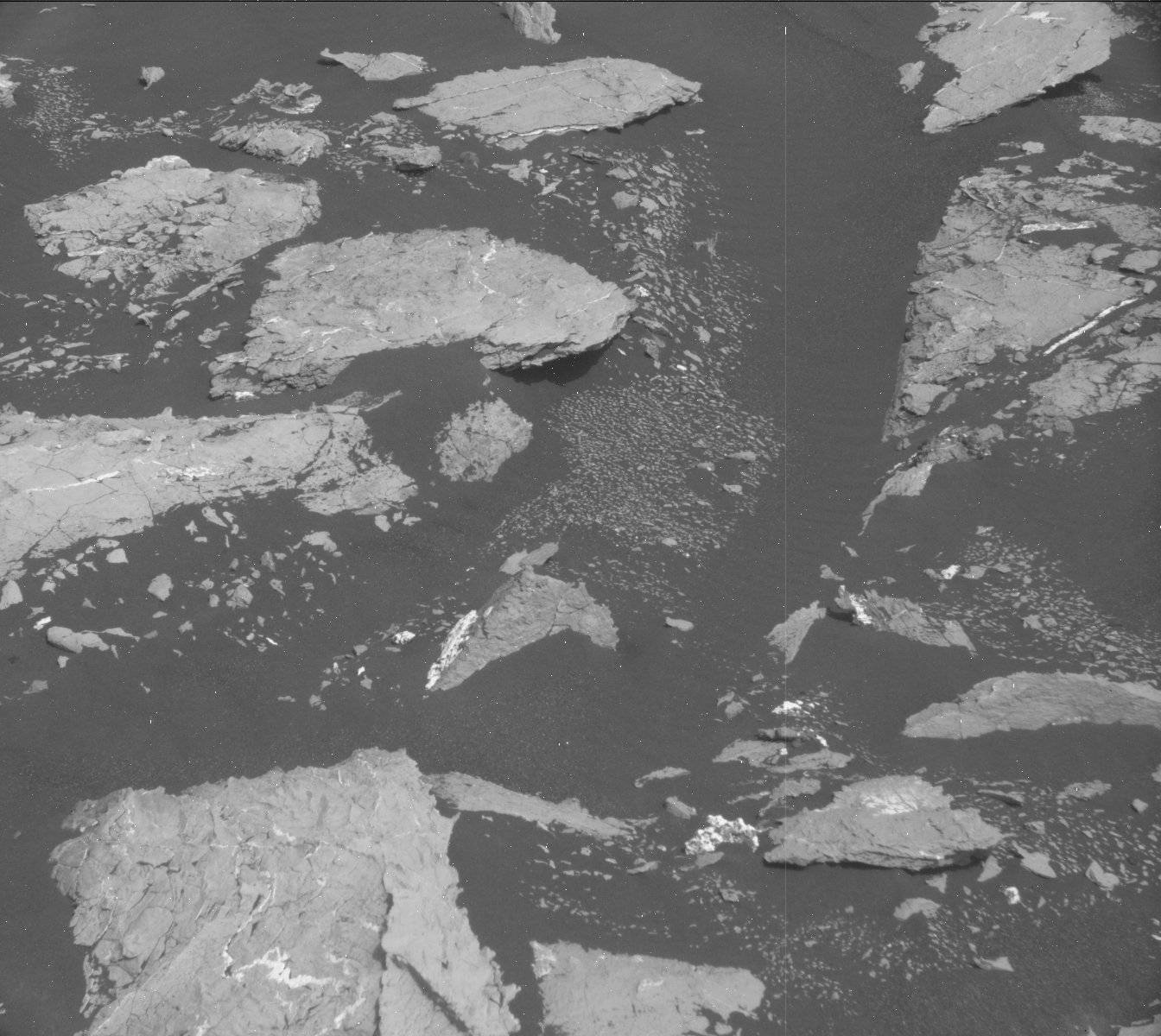 Nasa's Mars rover Curiosity acquired this image using its Mast Camera (Mastcam) on Sol 1537