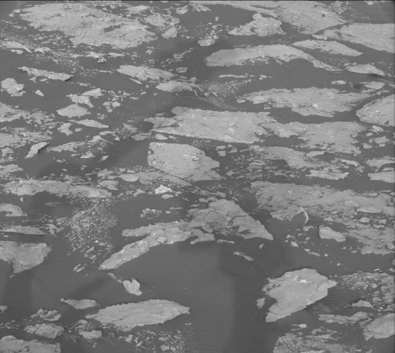 Nasa's Mars rover Curiosity acquired this image using its Mast Camera (Mastcam) on Sol 1537