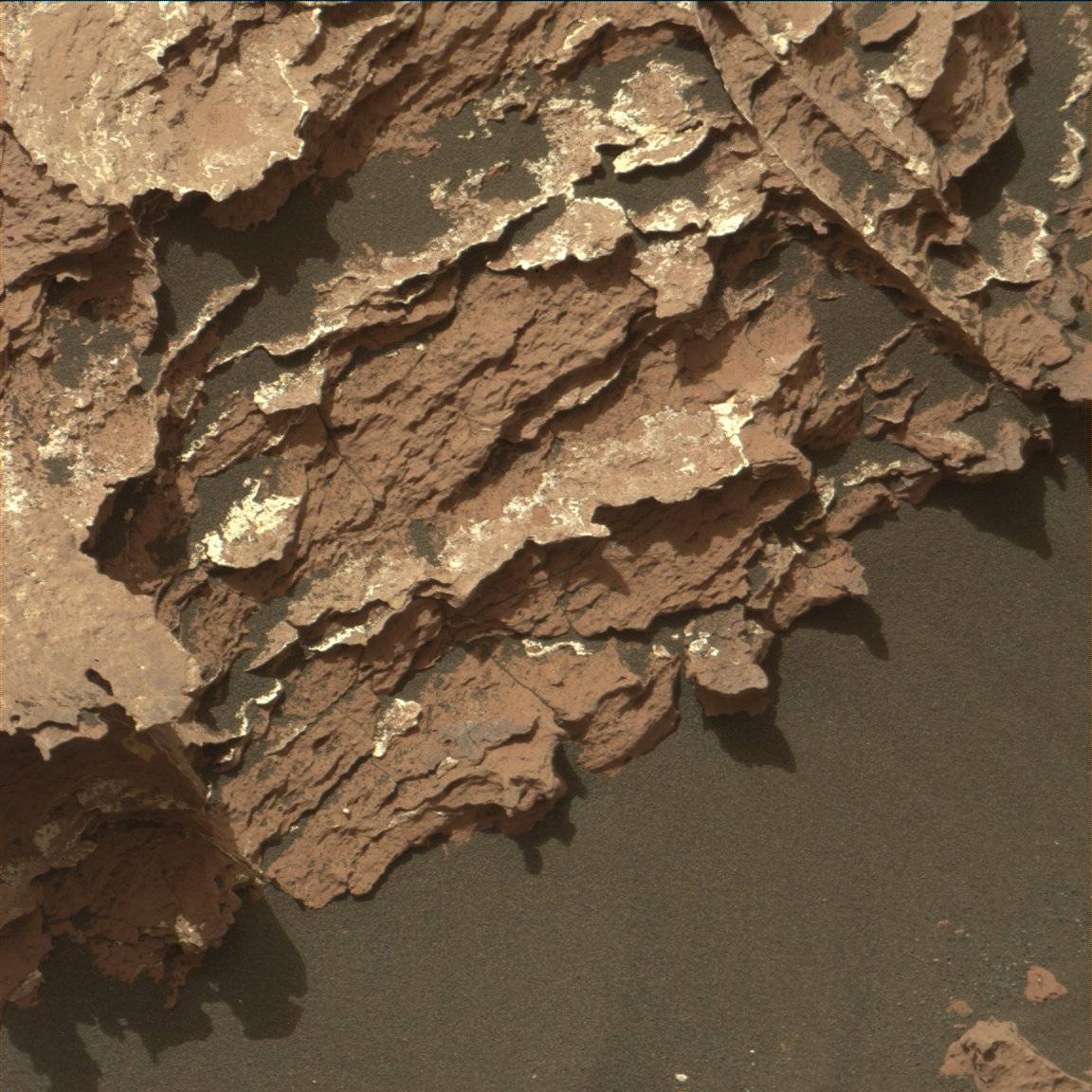 Nasa's Mars rover Curiosity acquired this image using its Mast Camera (Mastcam) on Sol 1539