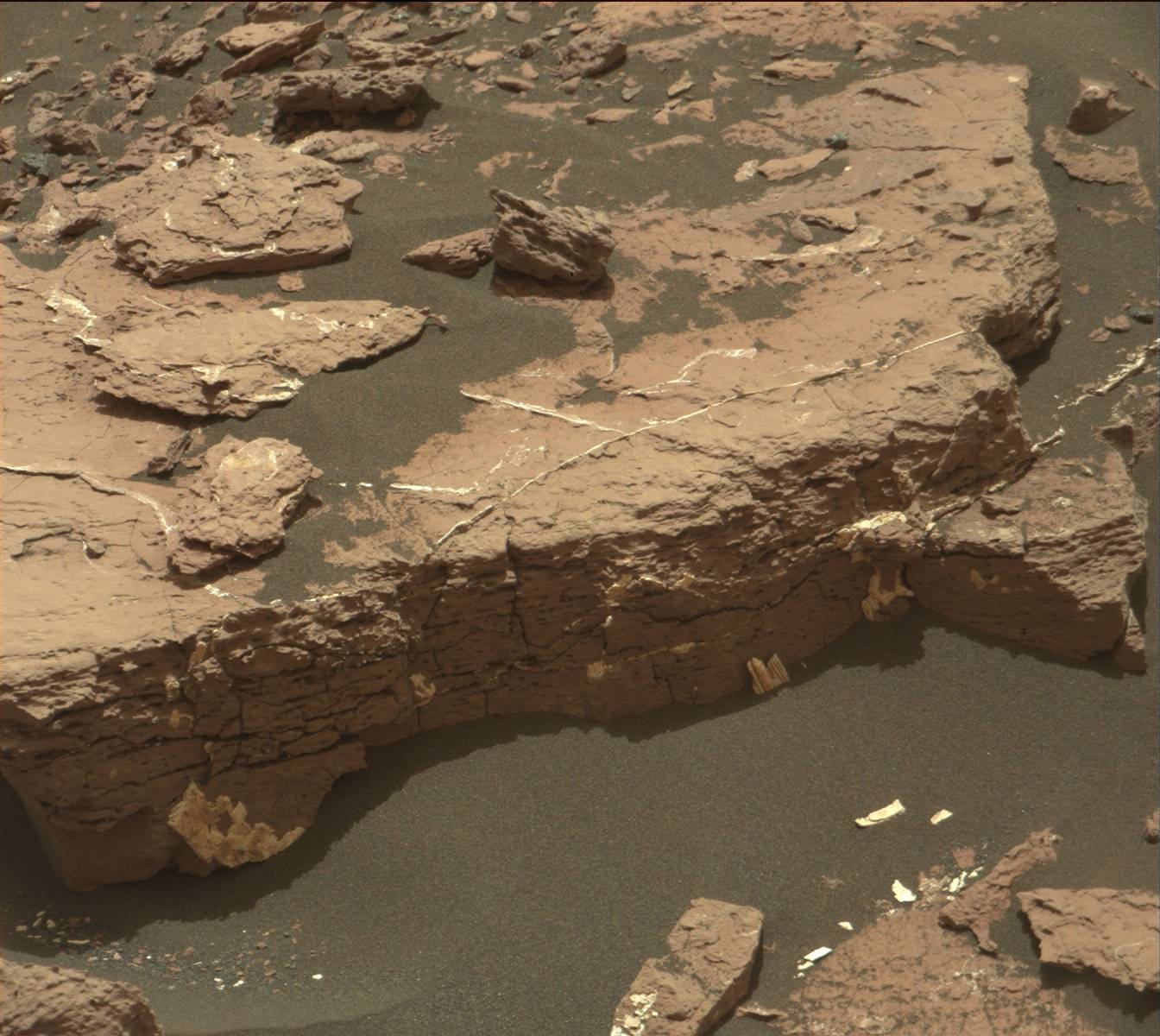 Nasa's Mars rover Curiosity acquired this image using its Mast Camera (Mastcam) on Sol 1541