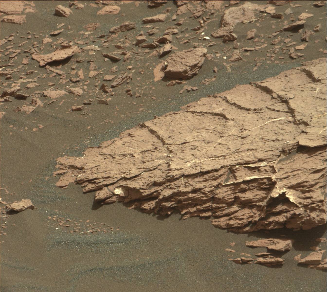 Nasa's Mars rover Curiosity acquired this image using its Mast Camera (Mastcam) on Sol 1541