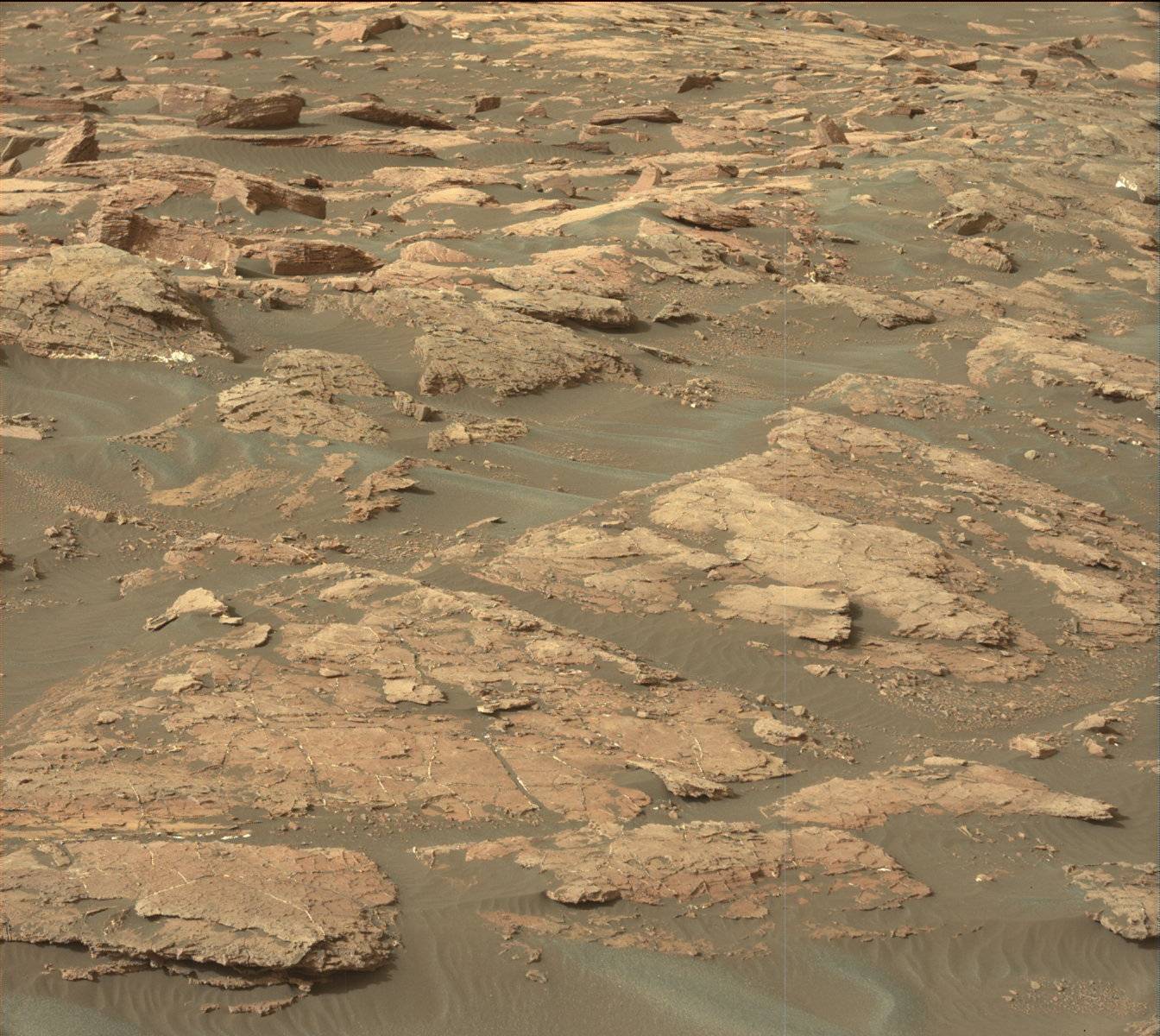 Nasa's Mars rover Curiosity acquired this image using its Mast Camera (Mastcam) on Sol 1543