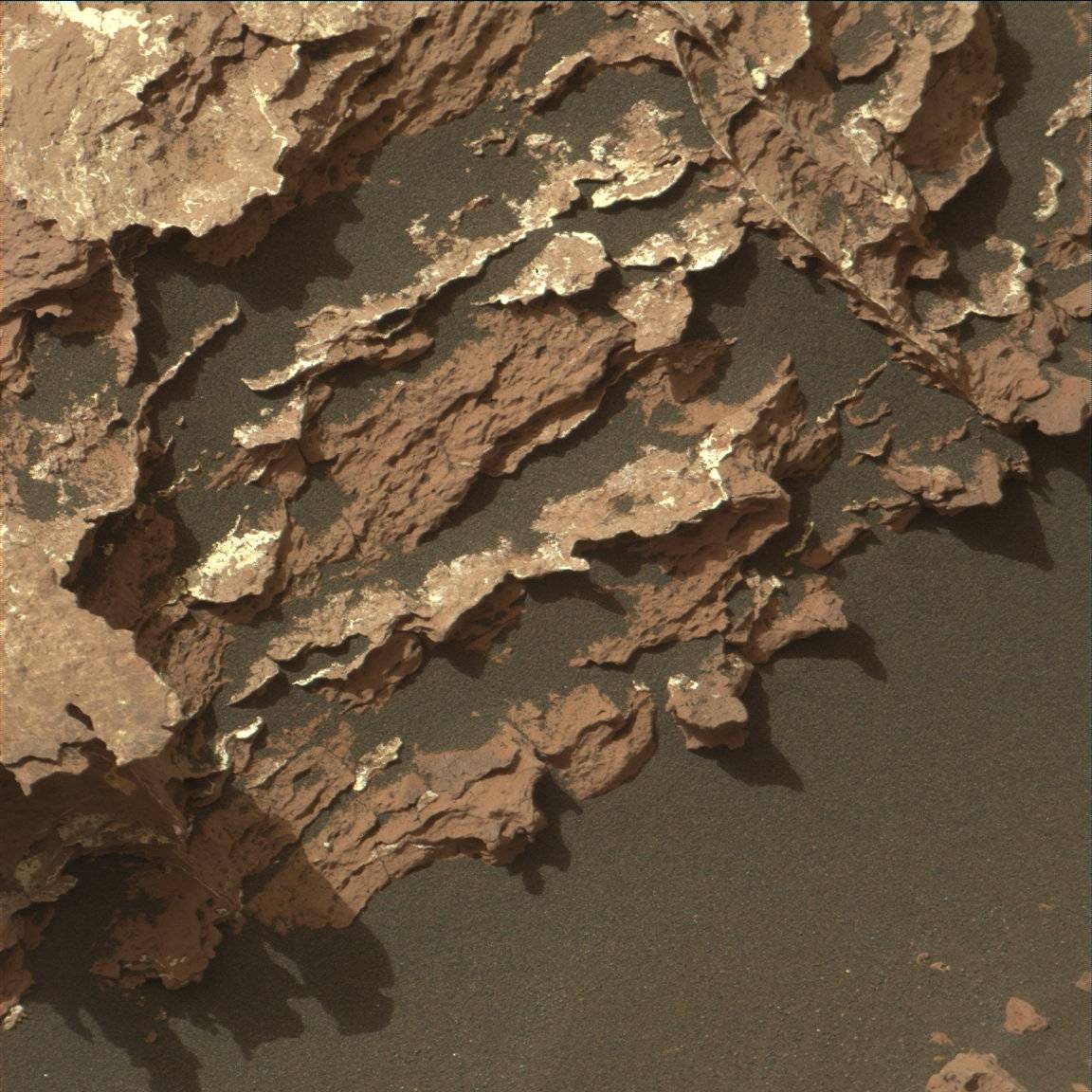 Nasa's Mars rover Curiosity acquired this image using its Mast Camera (Mastcam) on Sol 1547