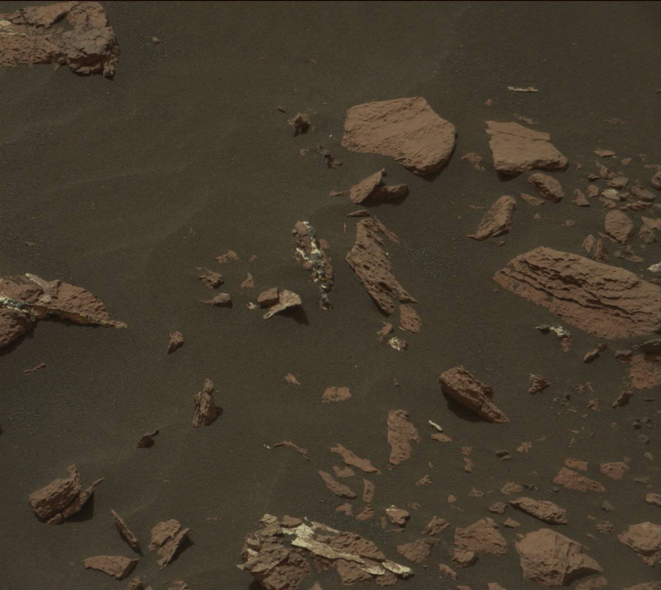 Nasa's Mars rover Curiosity acquired this image using its Mast Camera (Mastcam) on Sol 1550