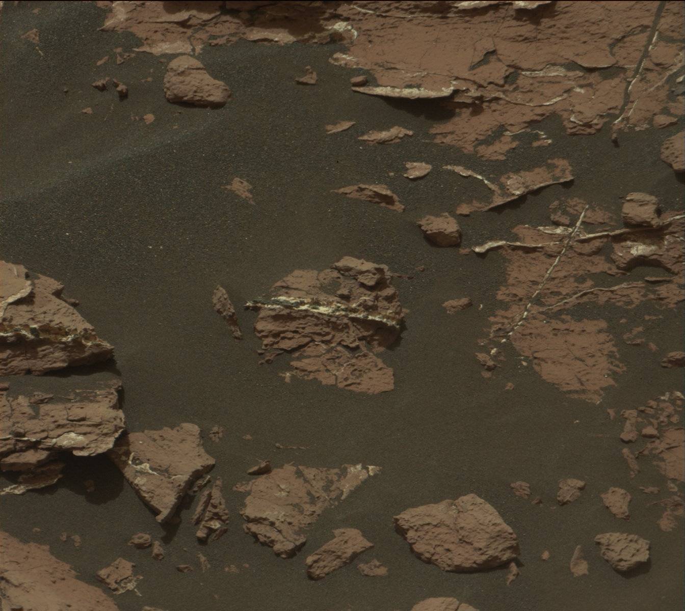 Nasa's Mars rover Curiosity acquired this image using its Mast Camera (Mastcam) on Sol 1550
