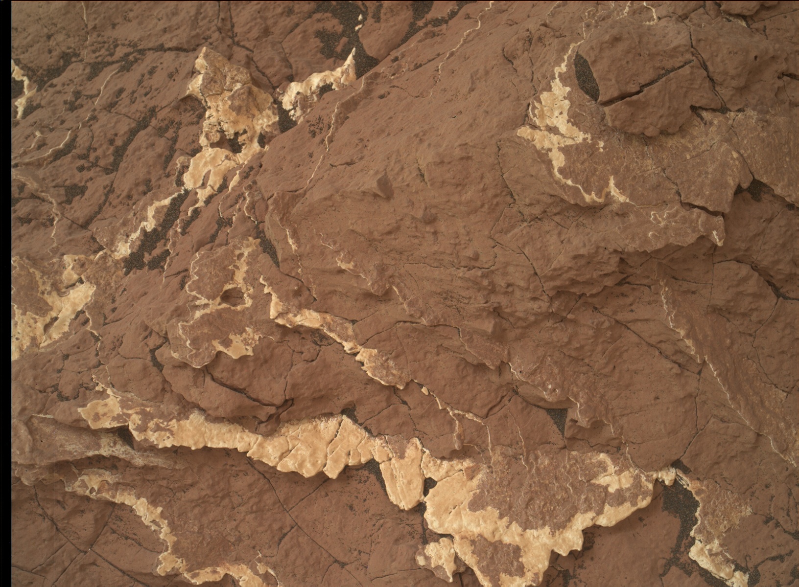 Nasa's Mars rover Curiosity acquired this image using its Mars Hand Lens Imager (MAHLI) on Sol 1552