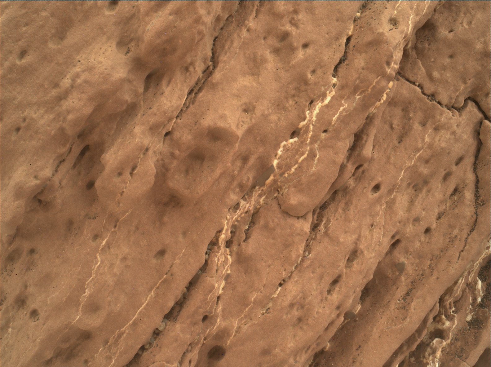 Nasa's Mars rover Curiosity acquired this image using its Mars Hand Lens Imager (MAHLI) on Sol 1555