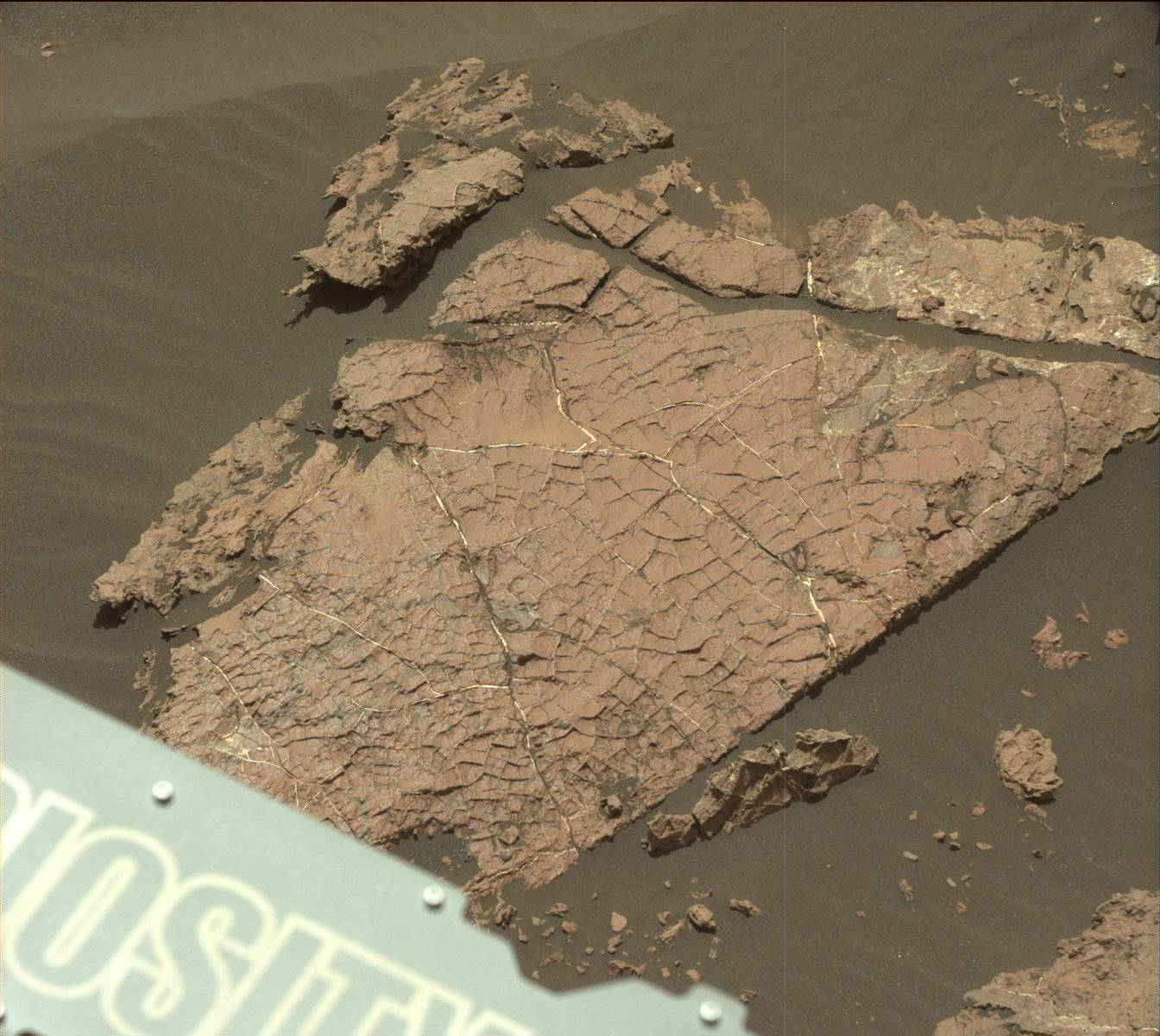 Nasa's Mars rover Curiosity acquired this image using its Mast Camera (Mastcam) on Sol 1566