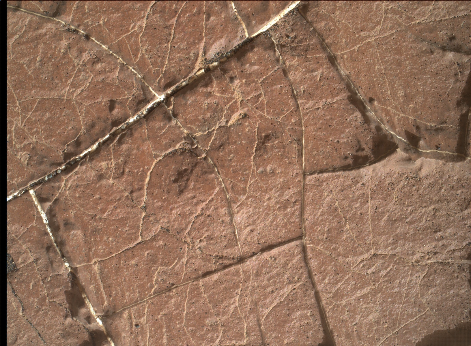 Nasa's Mars rover Curiosity acquired this image using its Mars Hand Lens Imager (MAHLI) on Sol 1566
