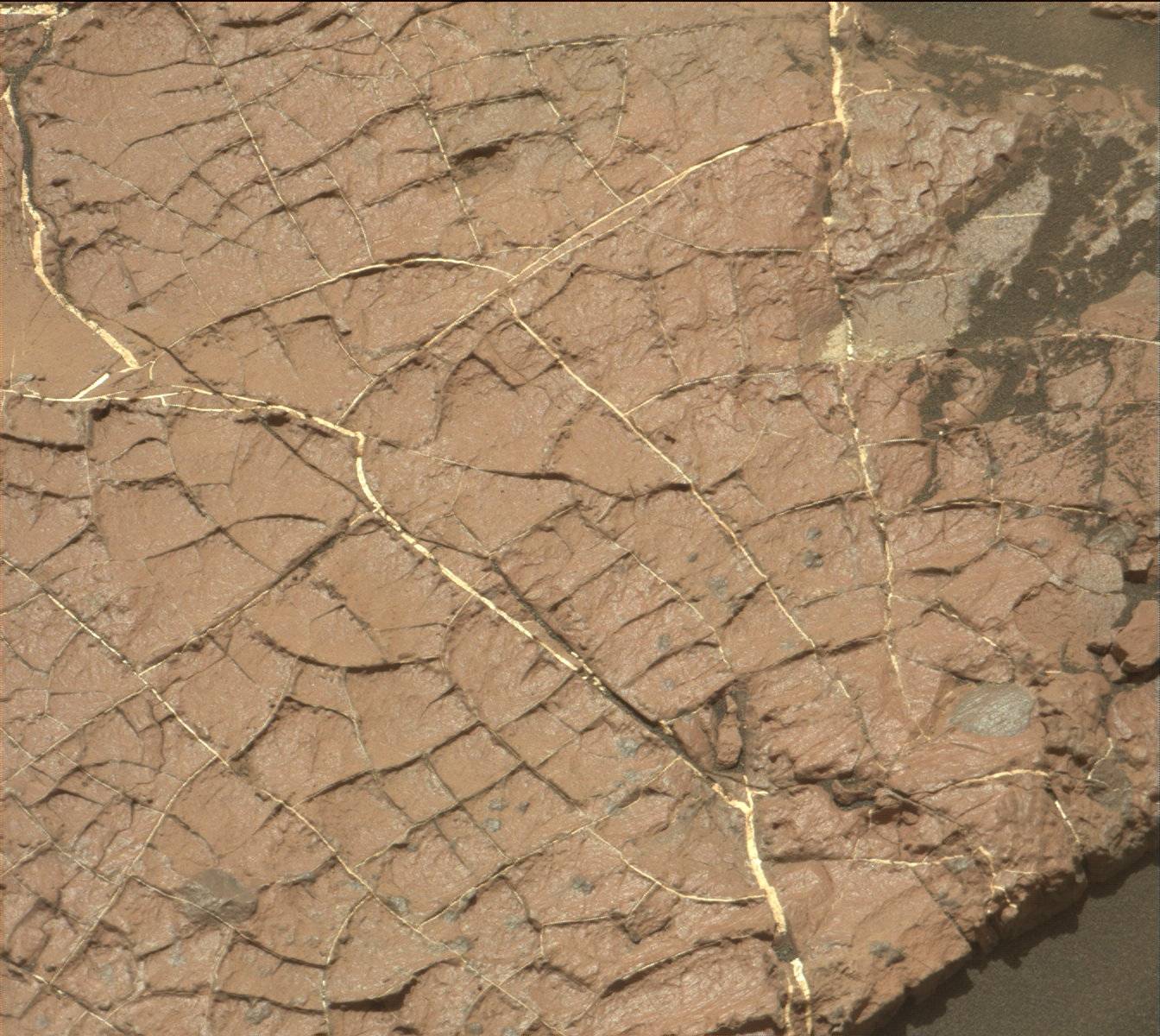 Nasa's Mars rover Curiosity acquired this image using its Mast Camera (Mastcam) on Sol 1568