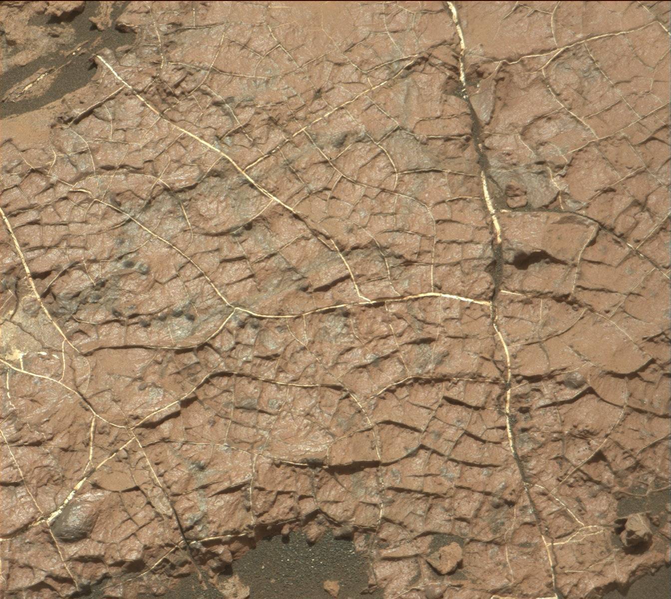 Nasa's Mars rover Curiosity acquired this image using its Mast Camera (Mastcam) on Sol 1569
