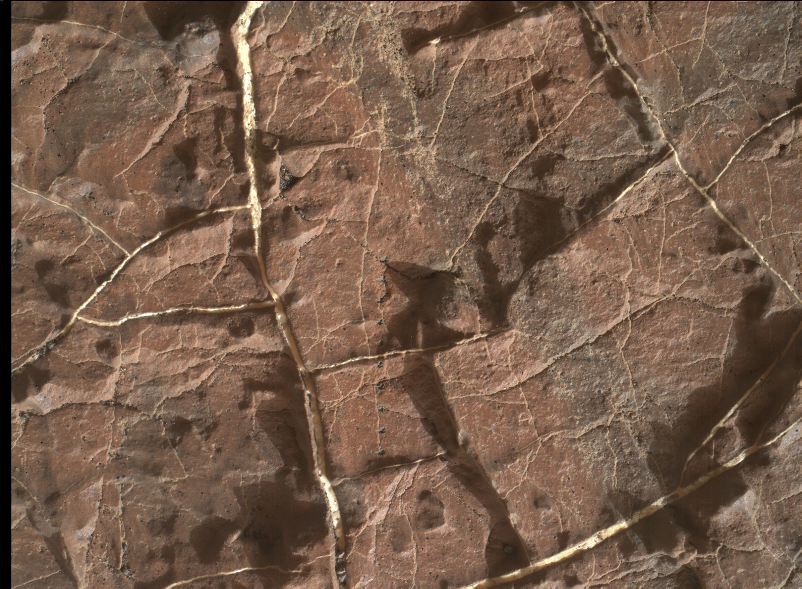 Nasa's Mars rover Curiosity acquired this image using its Mars Hand Lens Imager (MAHLI) on Sol 1569