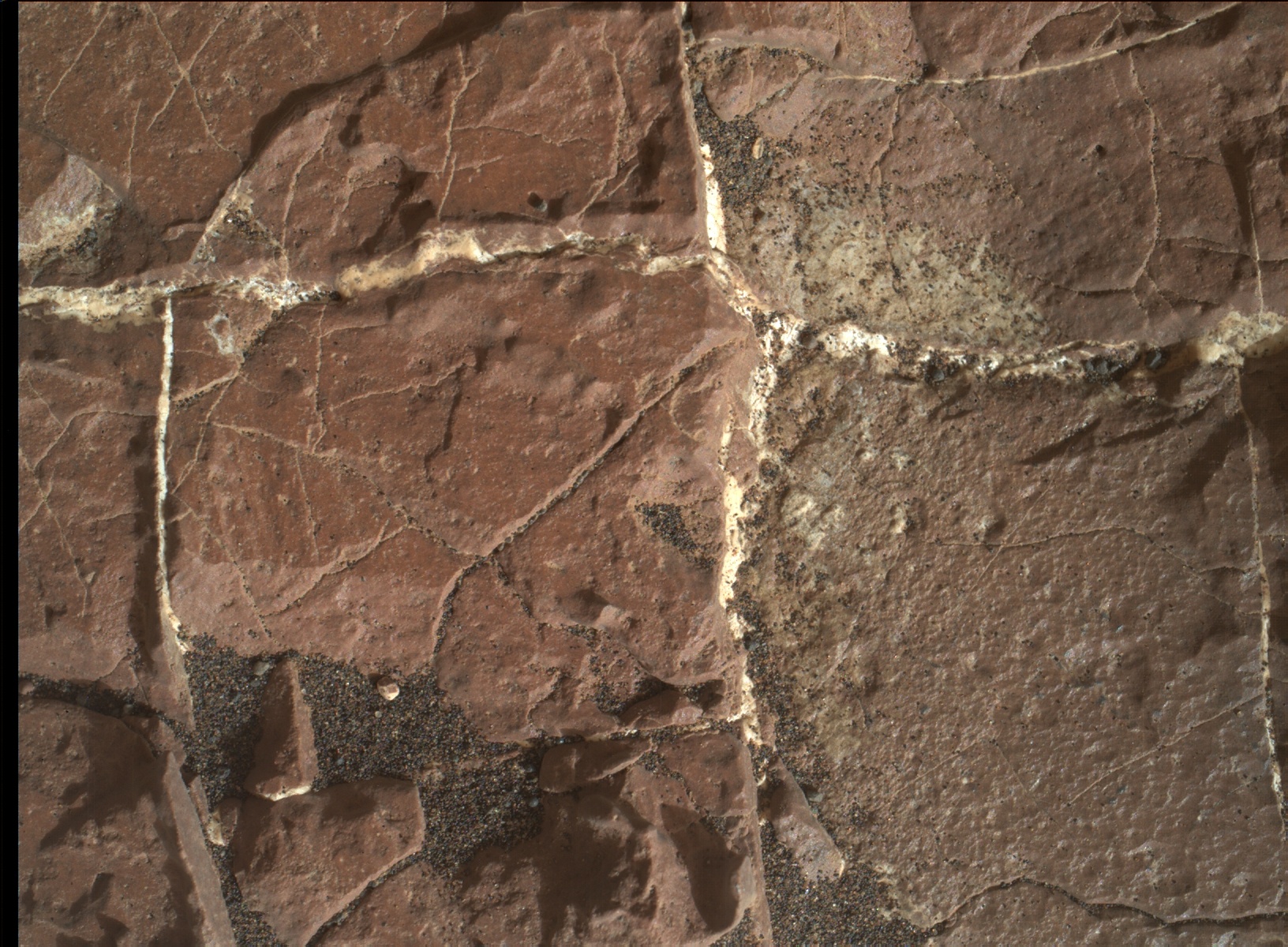 Nasa's Mars rover Curiosity acquired this image using its Mars Hand Lens Imager (MAHLI) on Sol 1569