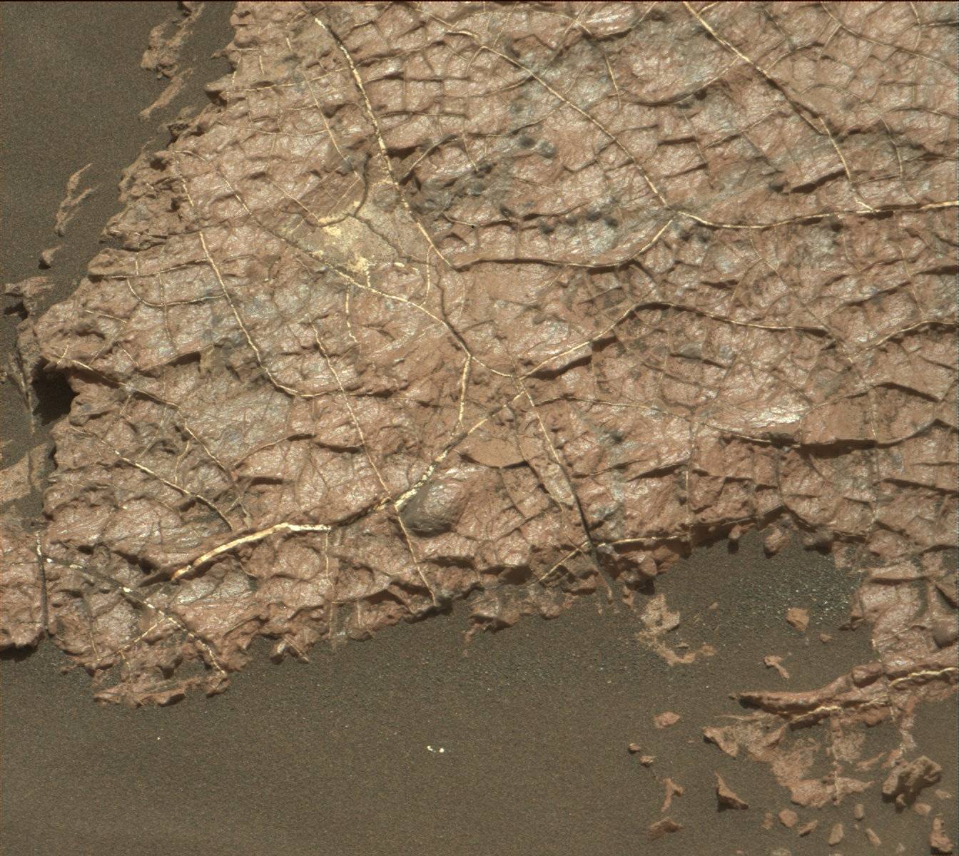 Nasa's Mars rover Curiosity acquired this image using its Mast Camera (Mastcam) on Sol 1570