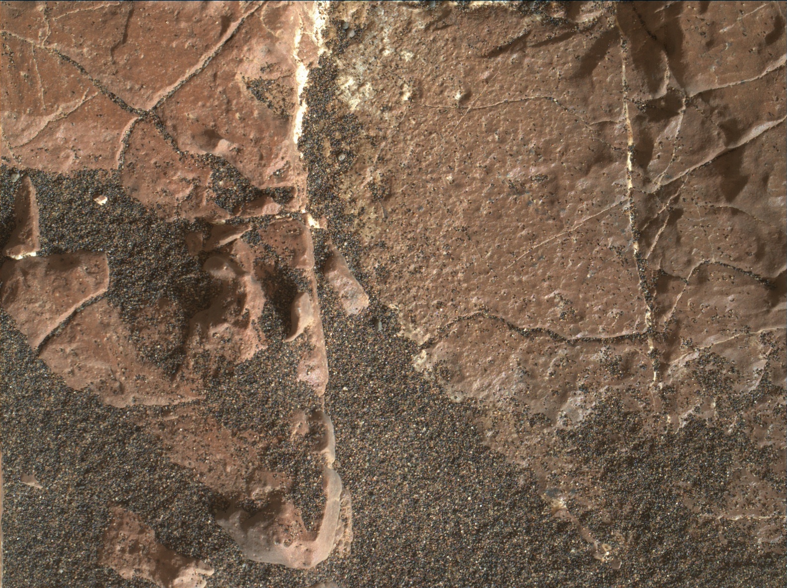 Nasa's Mars rover Curiosity acquired this image using its Mars Hand Lens Imager (MAHLI) on Sol 1570
