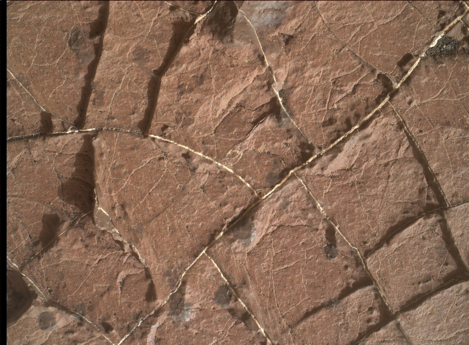 Nasa's Mars rover Curiosity acquired this image using its Mars Hand Lens Imager (MAHLI) on Sol 1570