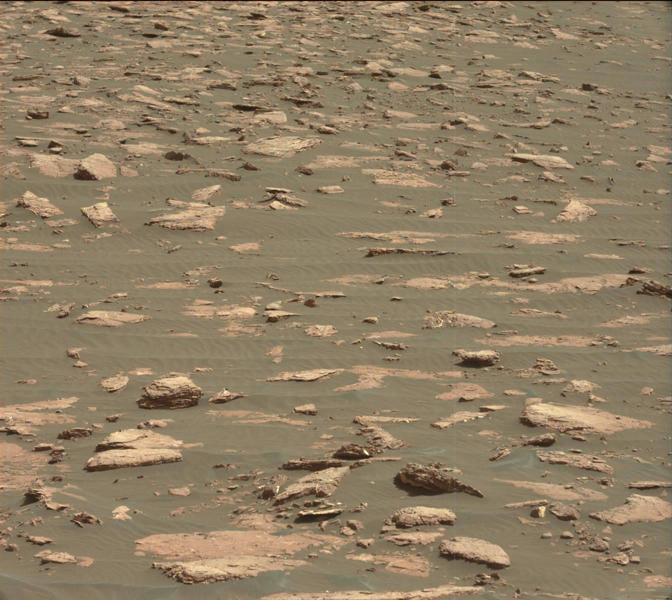 Nasa's Mars rover Curiosity acquired this image using its Mast Camera (Mastcam) on Sol 1571