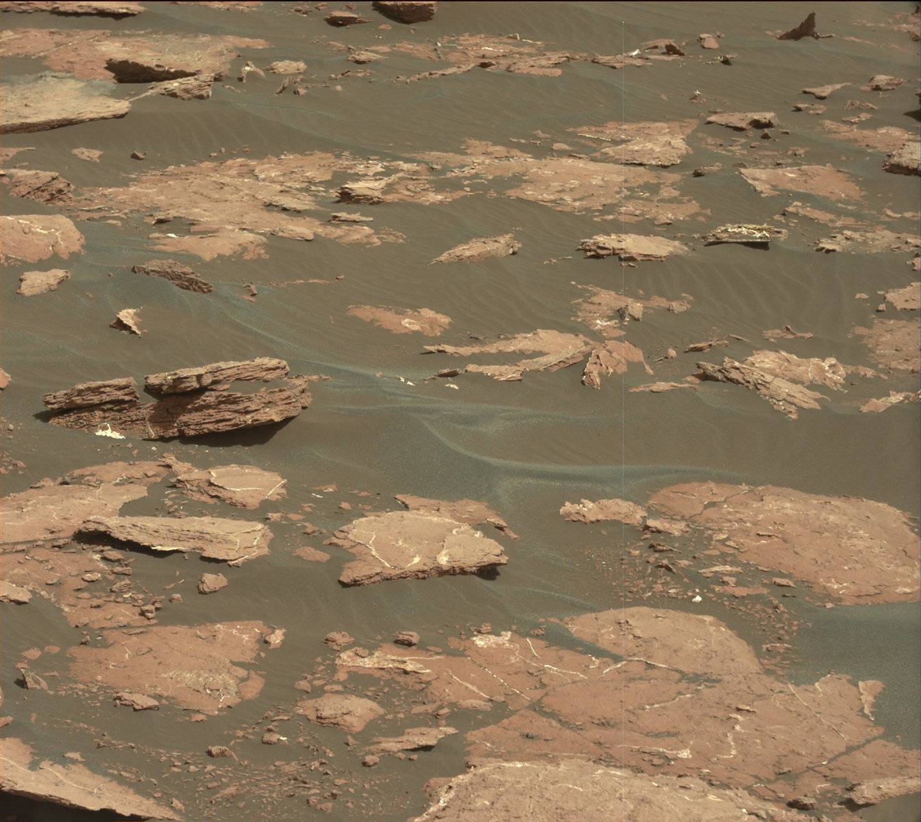 Nasa's Mars rover Curiosity acquired this image using its Mast Camera (Mastcam) on Sol 1571