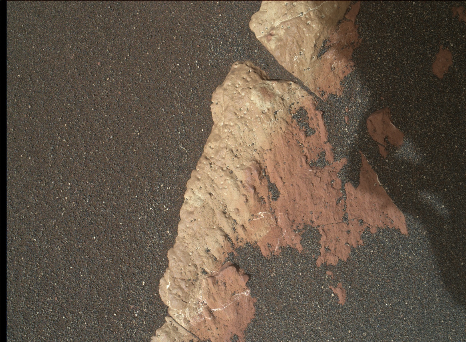 Nasa's Mars rover Curiosity acquired this image using its Mars Hand Lens Imager (MAHLI) on Sol 1572