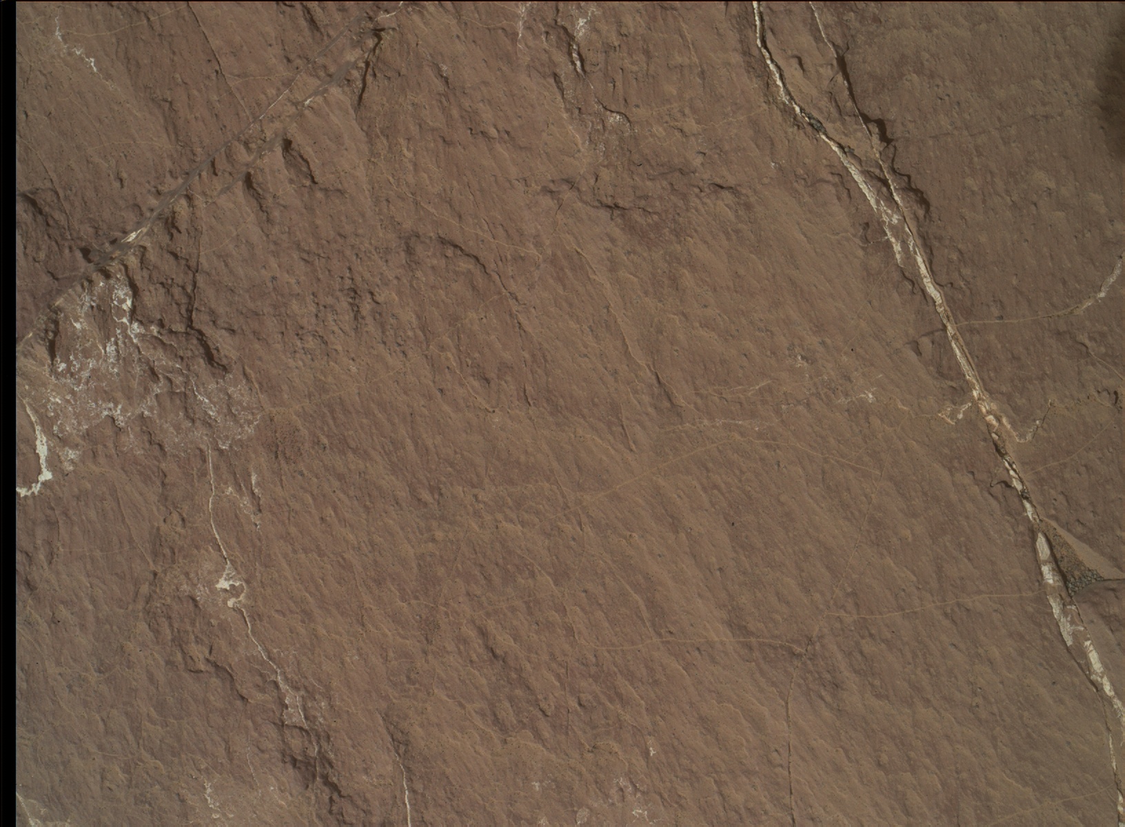 Nasa's Mars rover Curiosity acquired this image using its Mars Hand Lens Imager (MAHLI) on Sol 1572