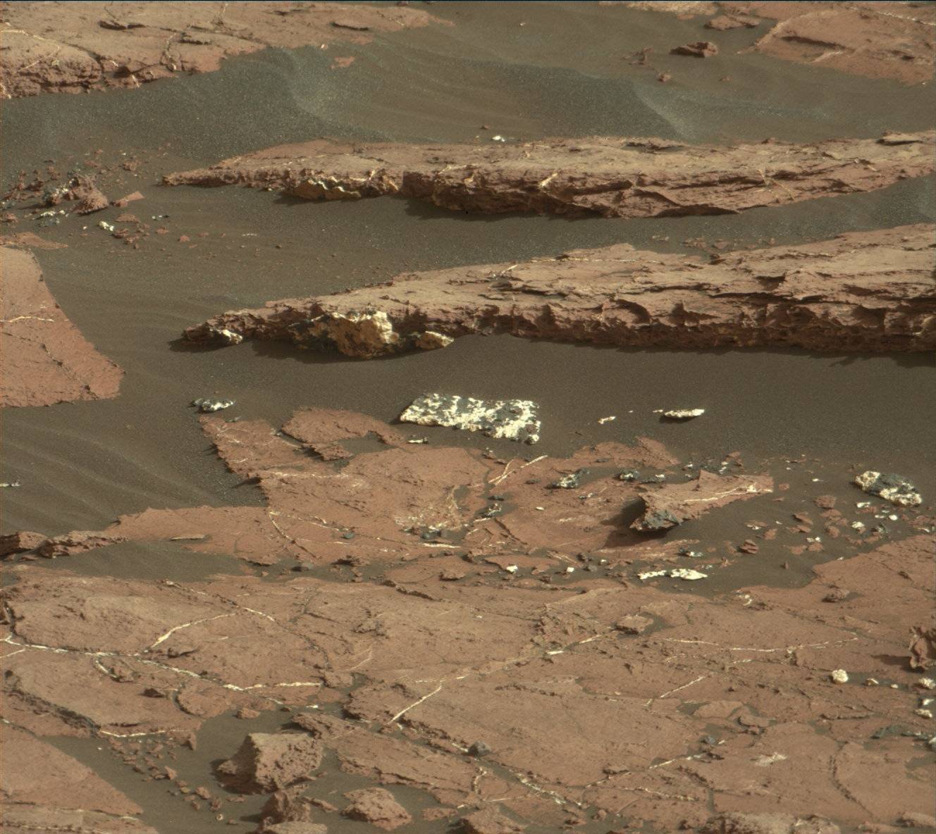Nasa's Mars rover Curiosity acquired this image using its Mast Camera (Mastcam) on Sol 1573