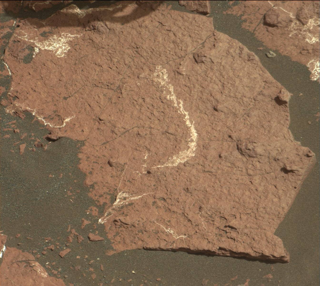 Nasa's Mars rover Curiosity acquired this image using its Mast Camera (Mastcam) on Sol 1575