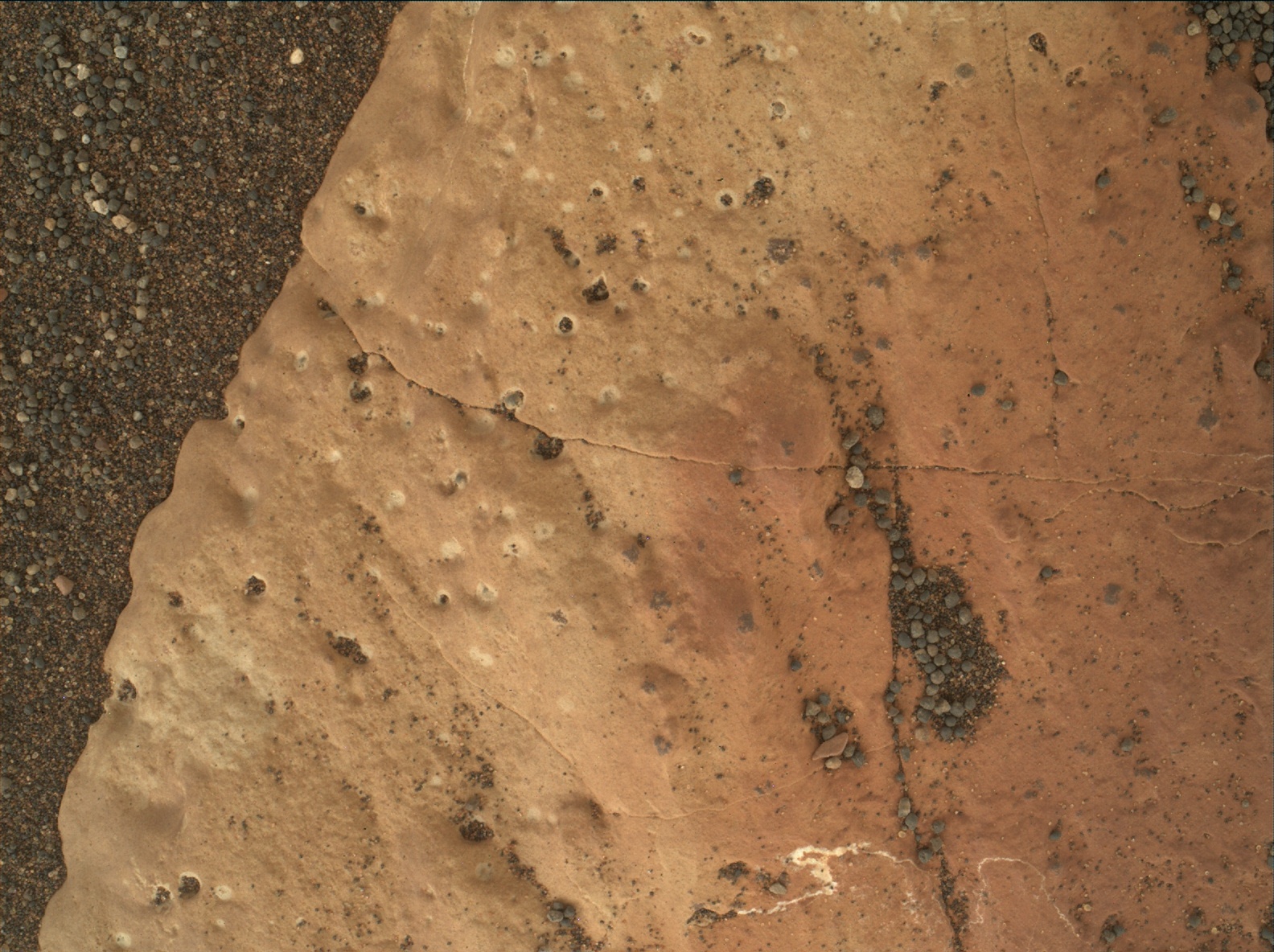 Nasa's Mars rover Curiosity acquired this image using its Mars Hand Lens Imager (MAHLI) on Sol 1575