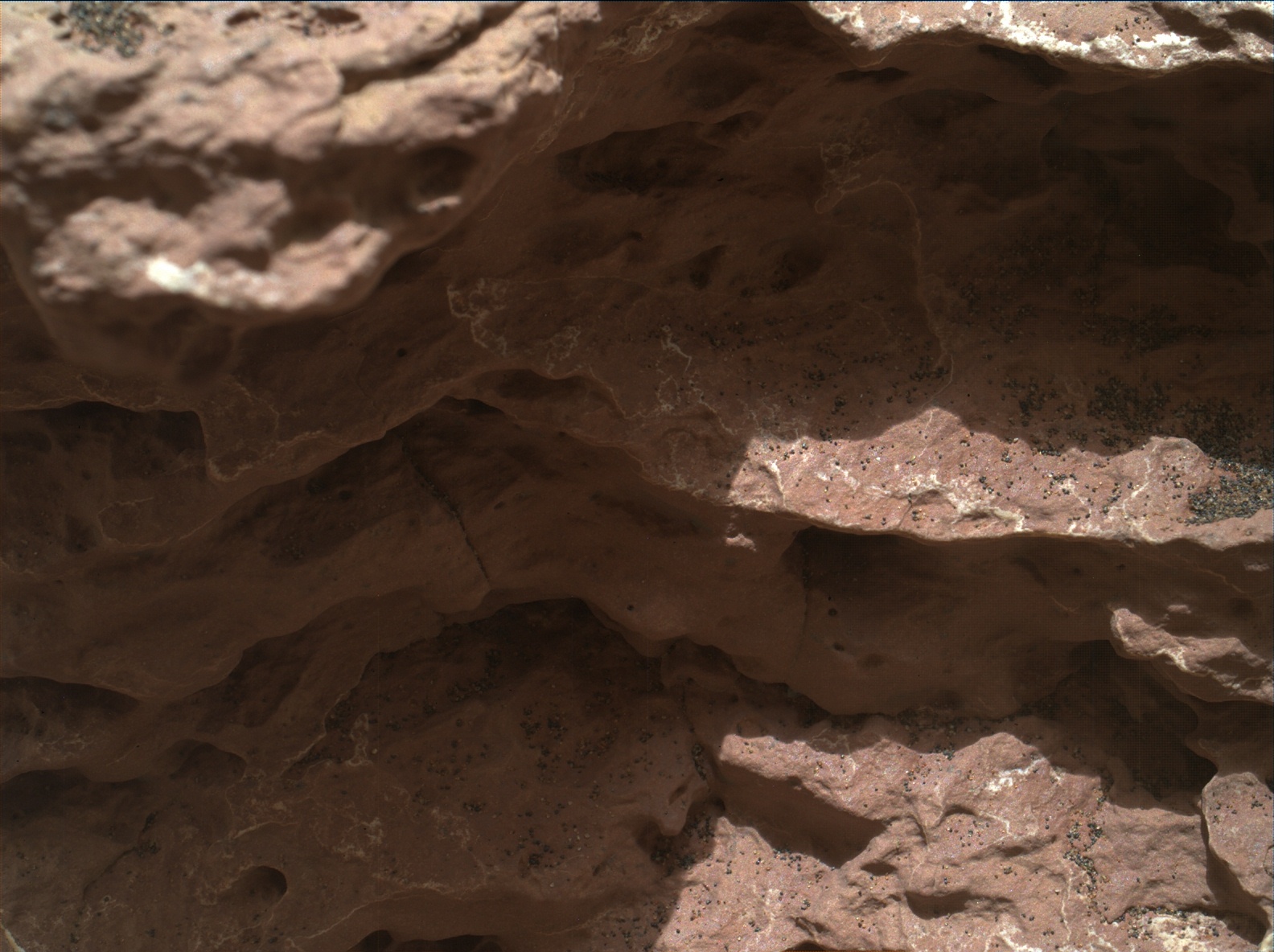 Nasa's Mars rover Curiosity acquired this image using its Mars Hand Lens Imager (MAHLI) on Sol 1578