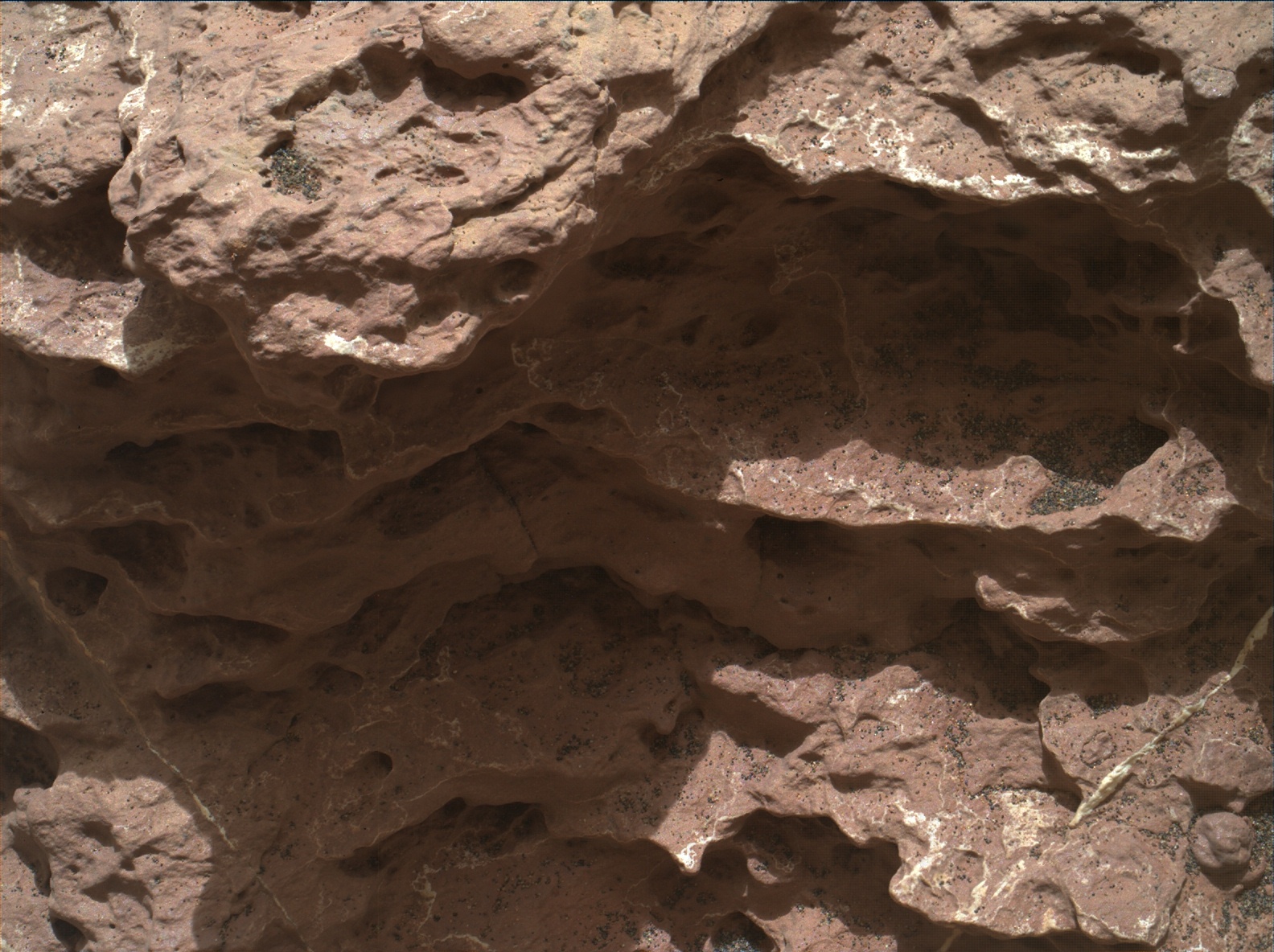 Nasa's Mars rover Curiosity acquired this image using its Mars Hand Lens Imager (MAHLI) on Sol 1578