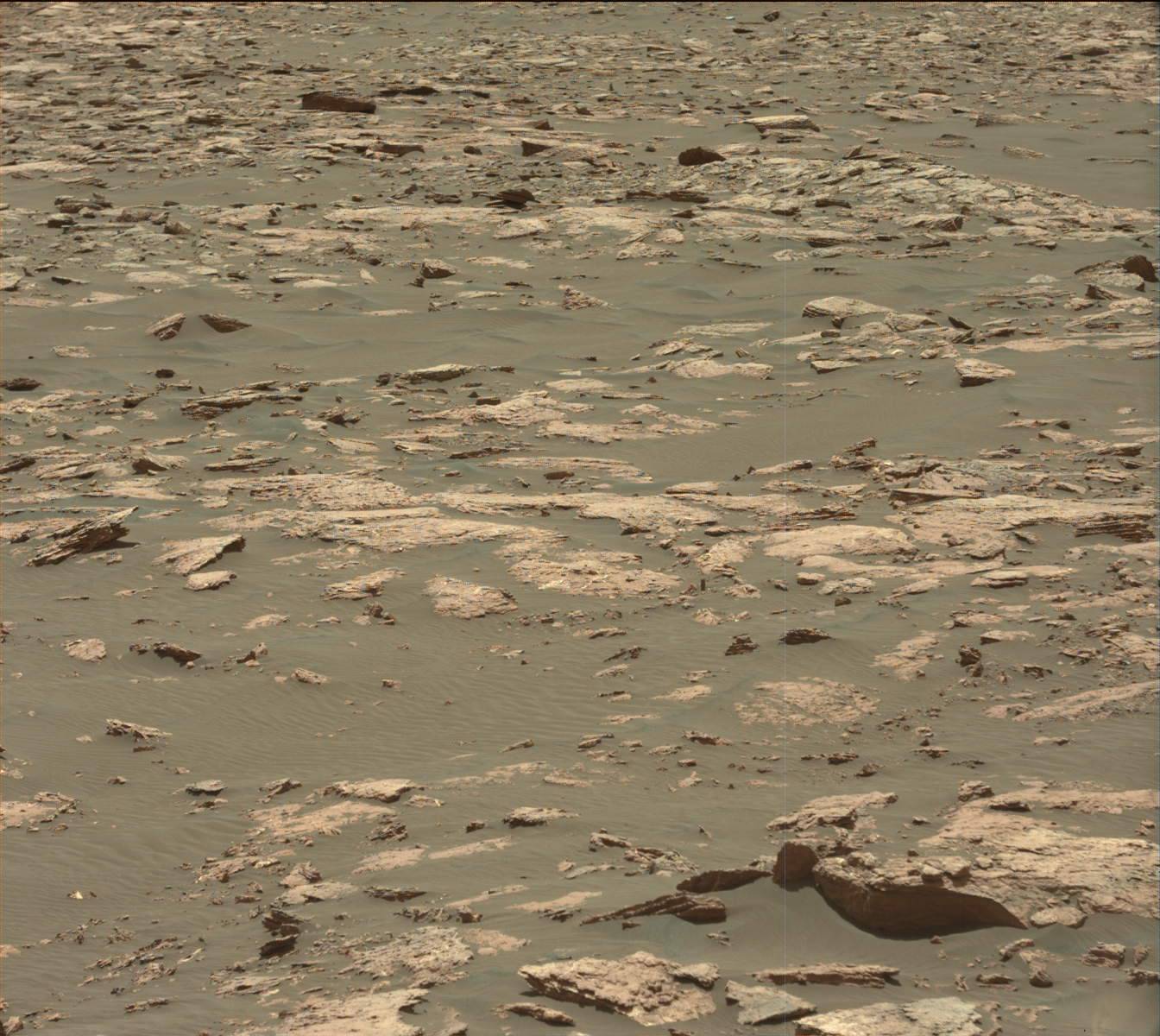 Nasa's Mars rover Curiosity acquired this image using its Mast Camera (Mastcam) on Sol 1582