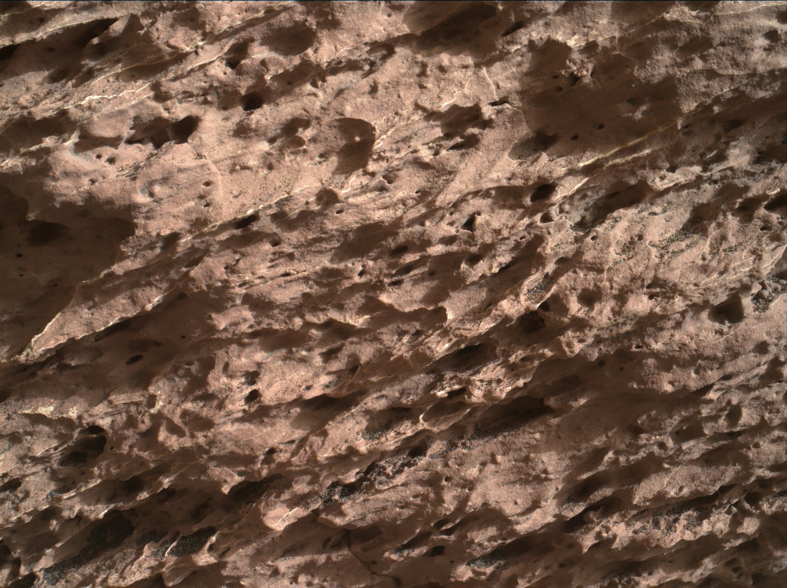 Nasa's Mars rover Curiosity acquired this image using its Mars Hand Lens Imager (MAHLI) on Sol 1582