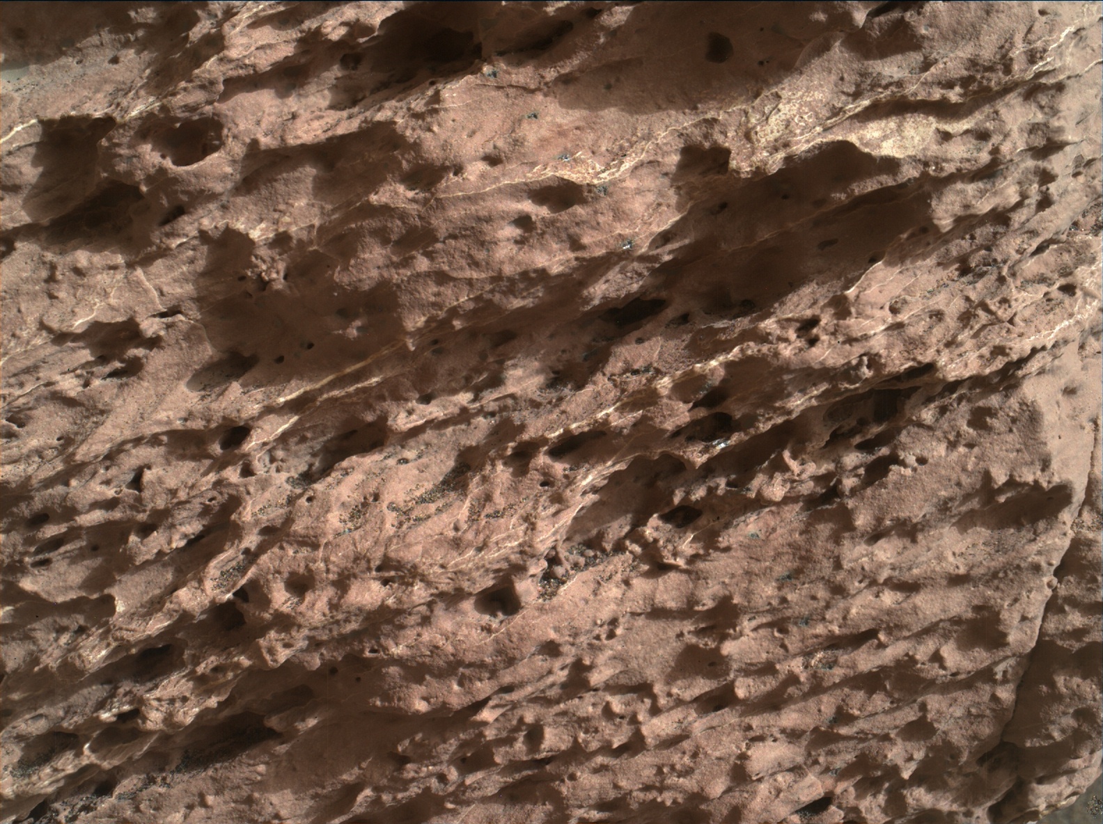 Nasa's Mars rover Curiosity acquired this image using its Mars Hand Lens Imager (MAHLI) on Sol 1582