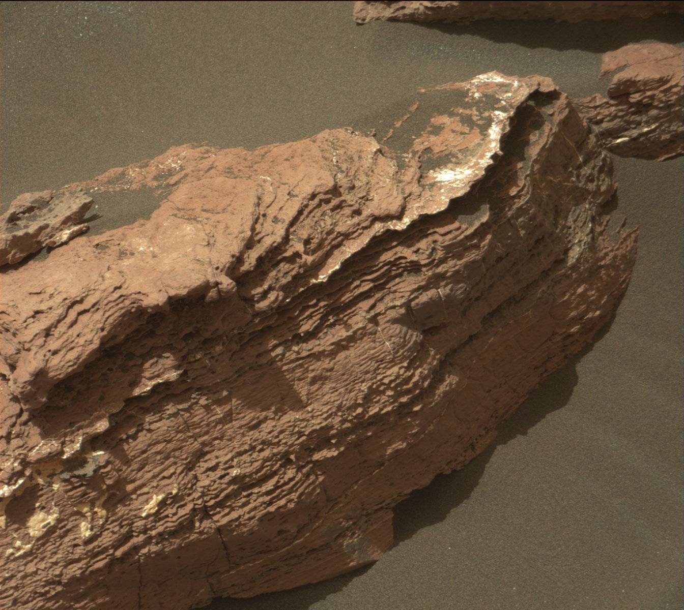 Nasa's Mars rover Curiosity acquired this image using its Mast Camera (Mastcam) on Sol 1583